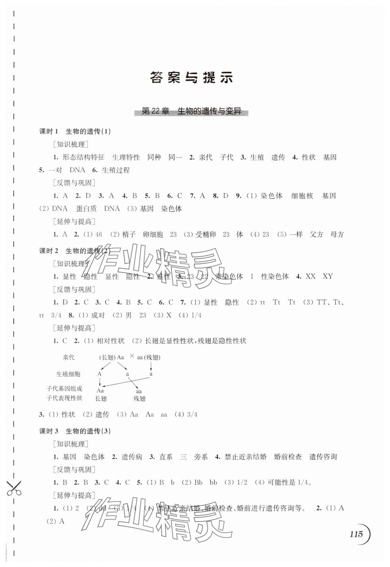 2025年同步練習(xí)江蘇八年級(jí)生物下冊(cè)蘇科版 第1頁(yè)