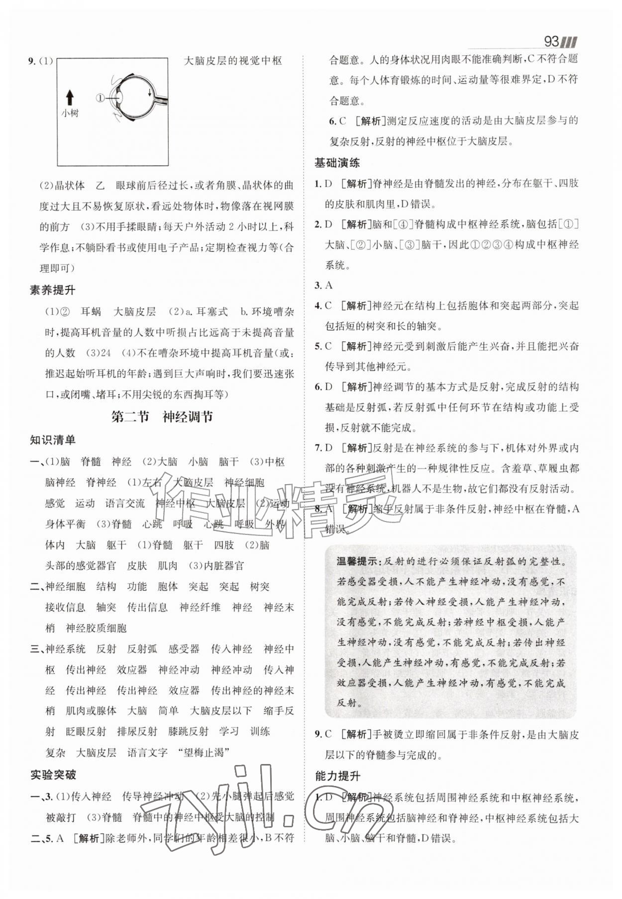 2026年同行学案八年级生物上册人教版&nbsp;参考答案第2页
