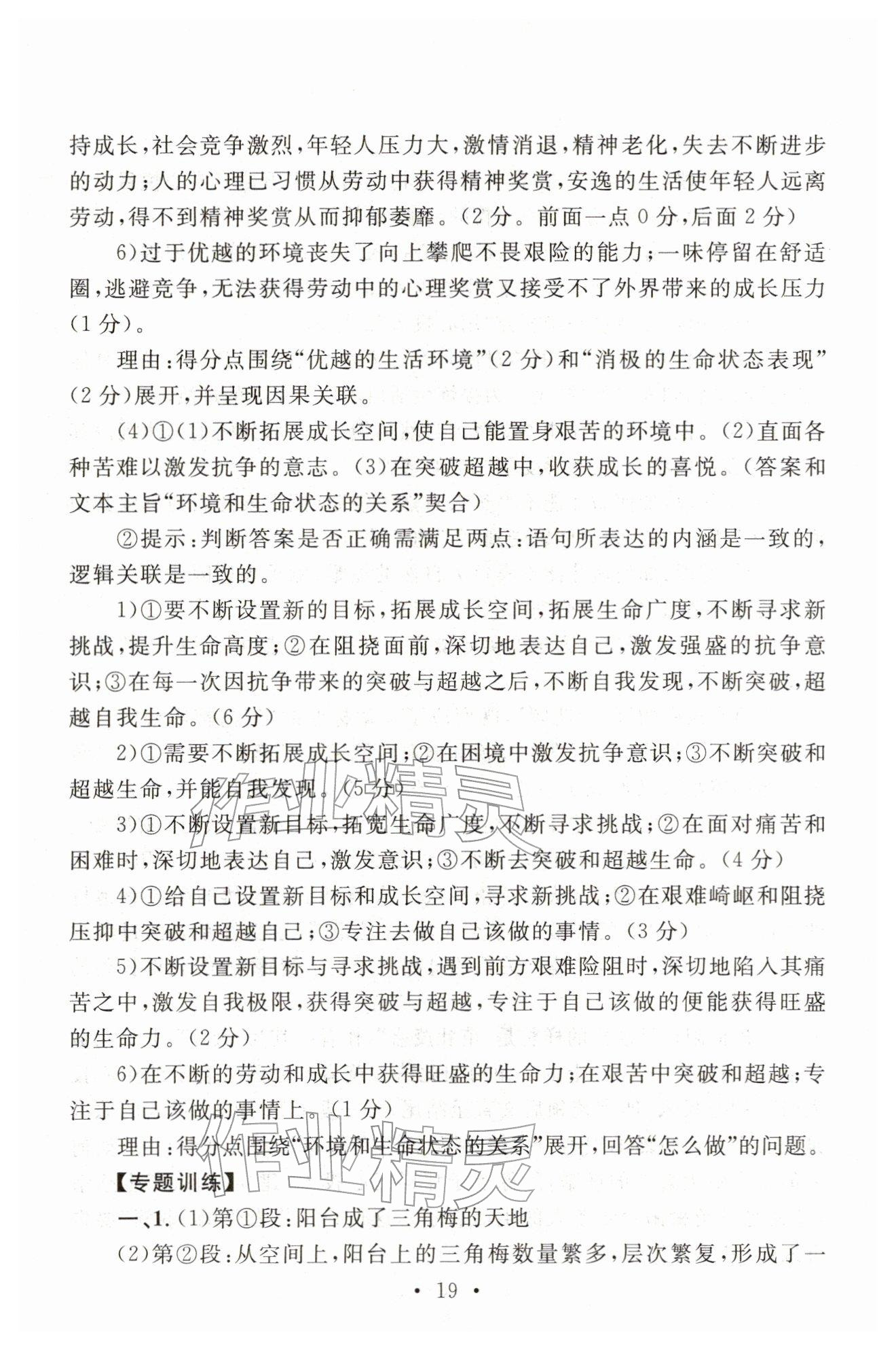 2025年中考語文新視野 參考答案第19頁