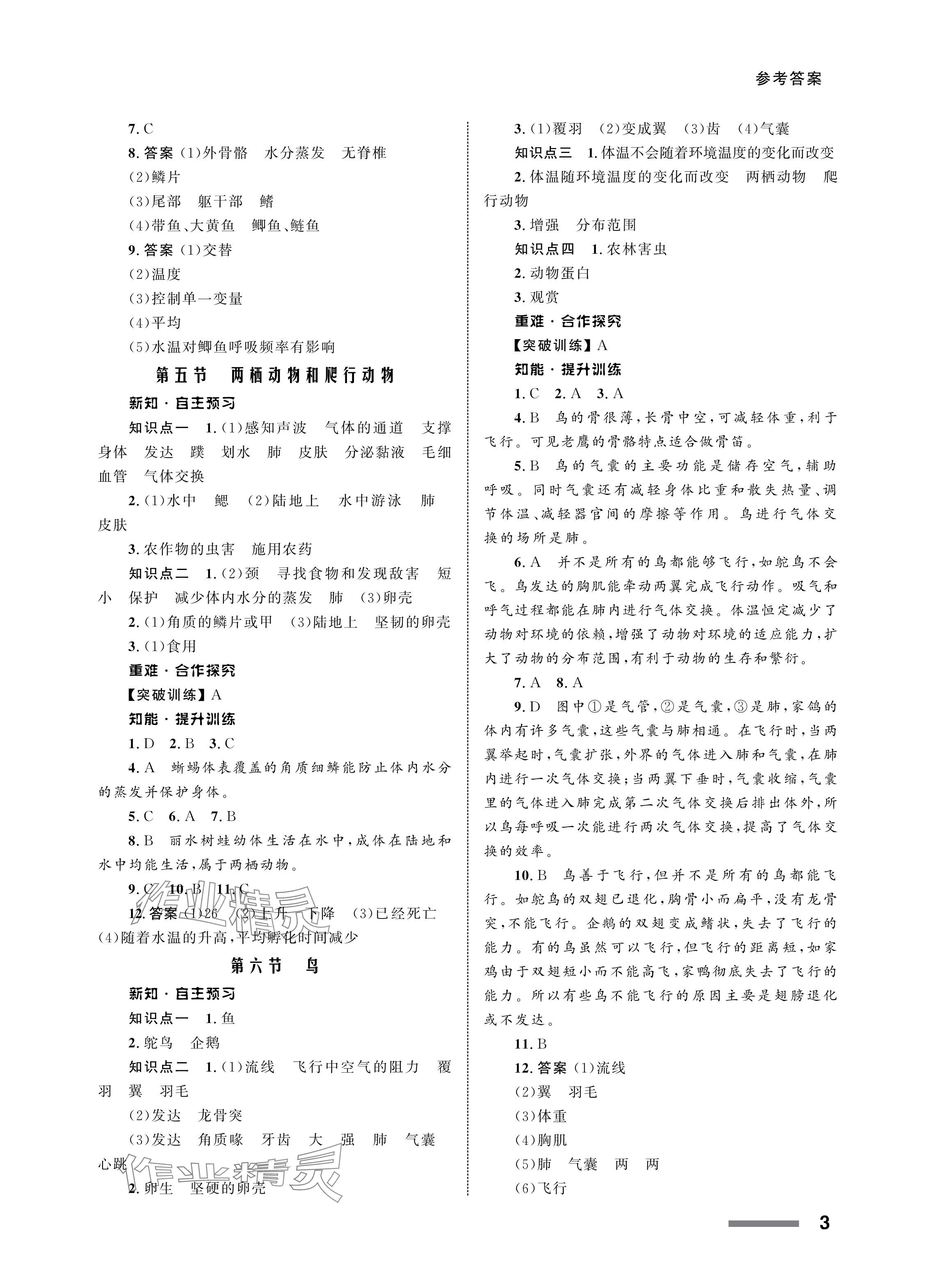 2024年配套綜合練習(xí)甘肅八年級(jí)生物上冊(cè)人教版 參考答案第3頁(yè)