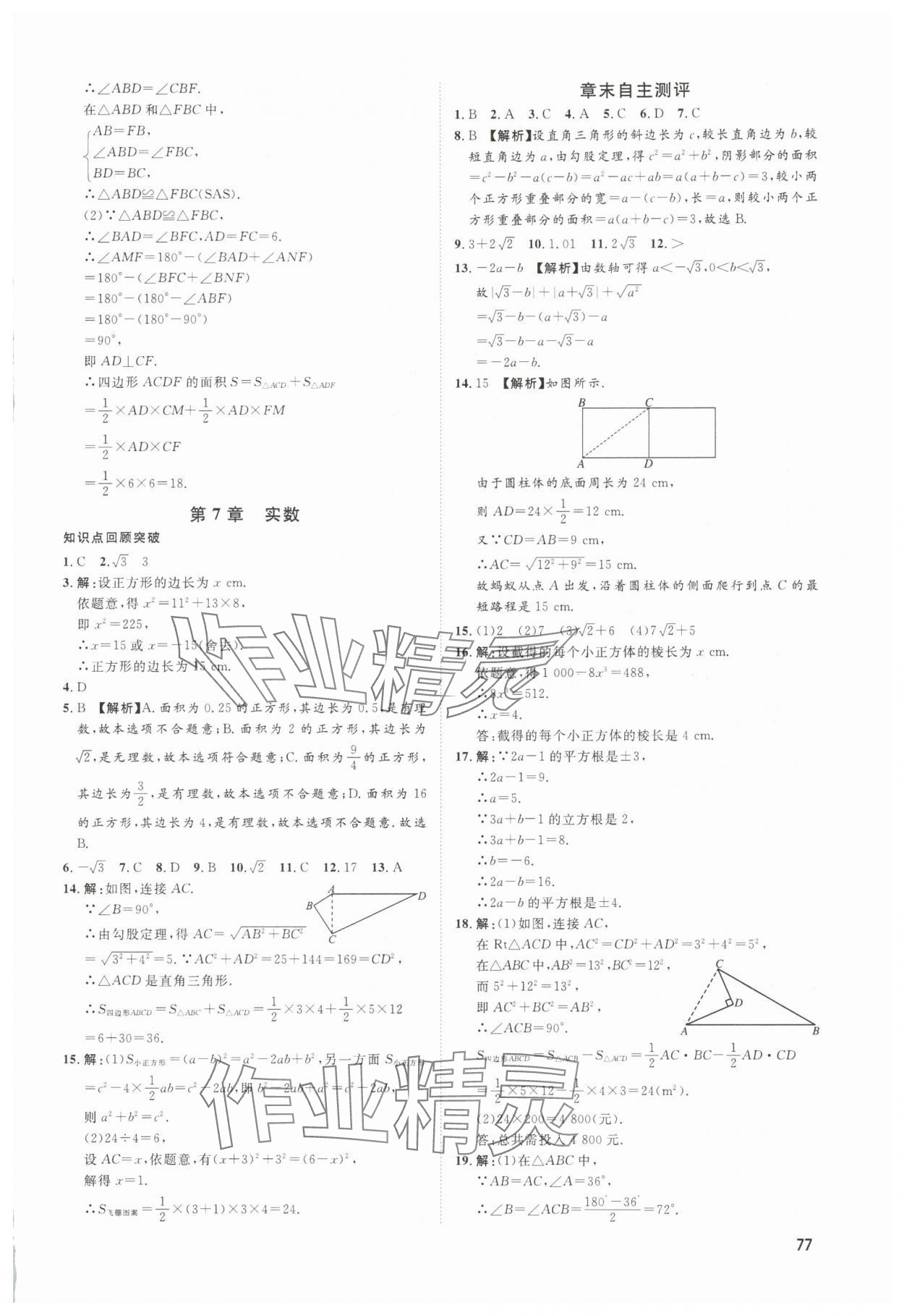 2025年鲁人泰斗假期好时光八年级数学青岛版 第5页