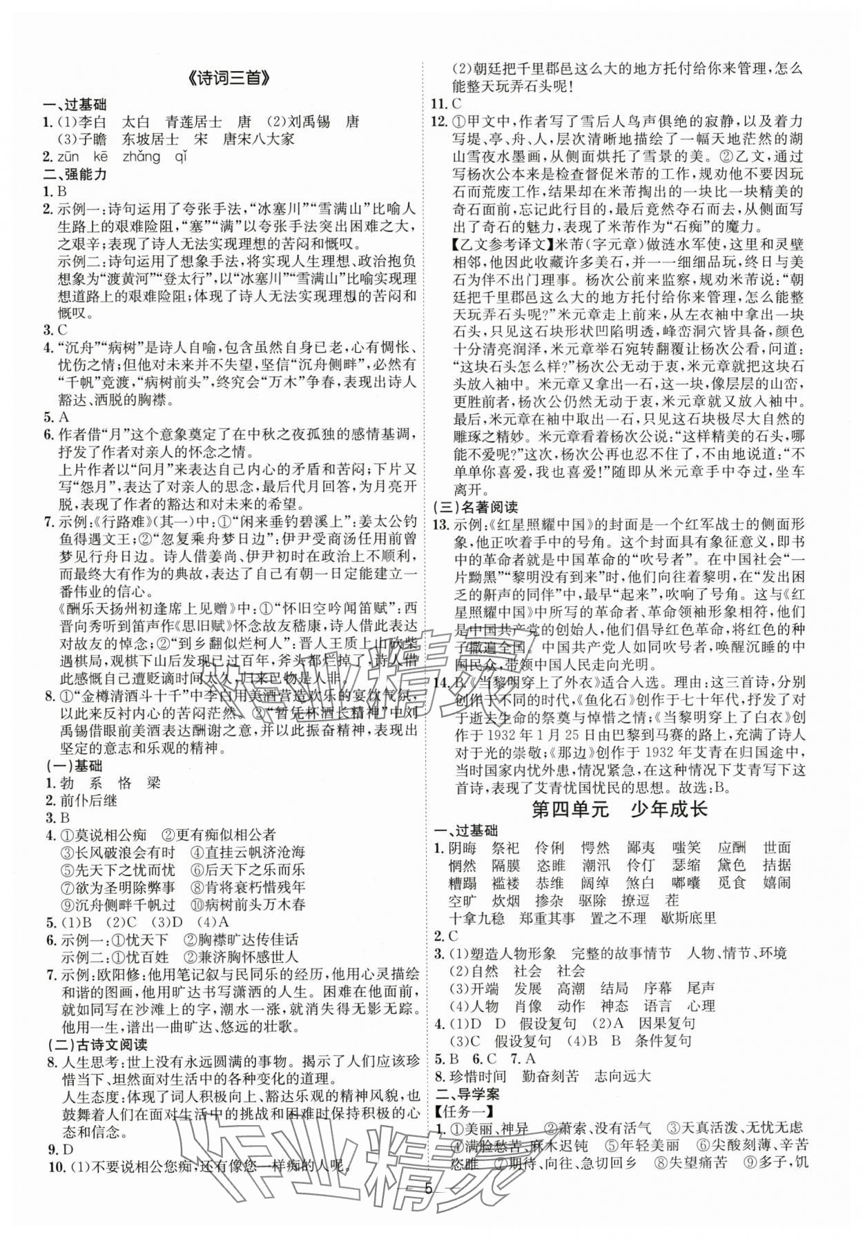 2024年考點專練九年級語文全一冊人教版深圳專版 第5頁