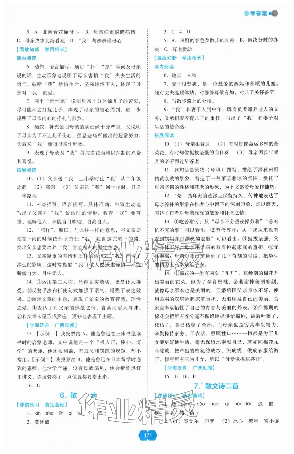 2025年新课程能力培养七年级语文上册人教版 第3页