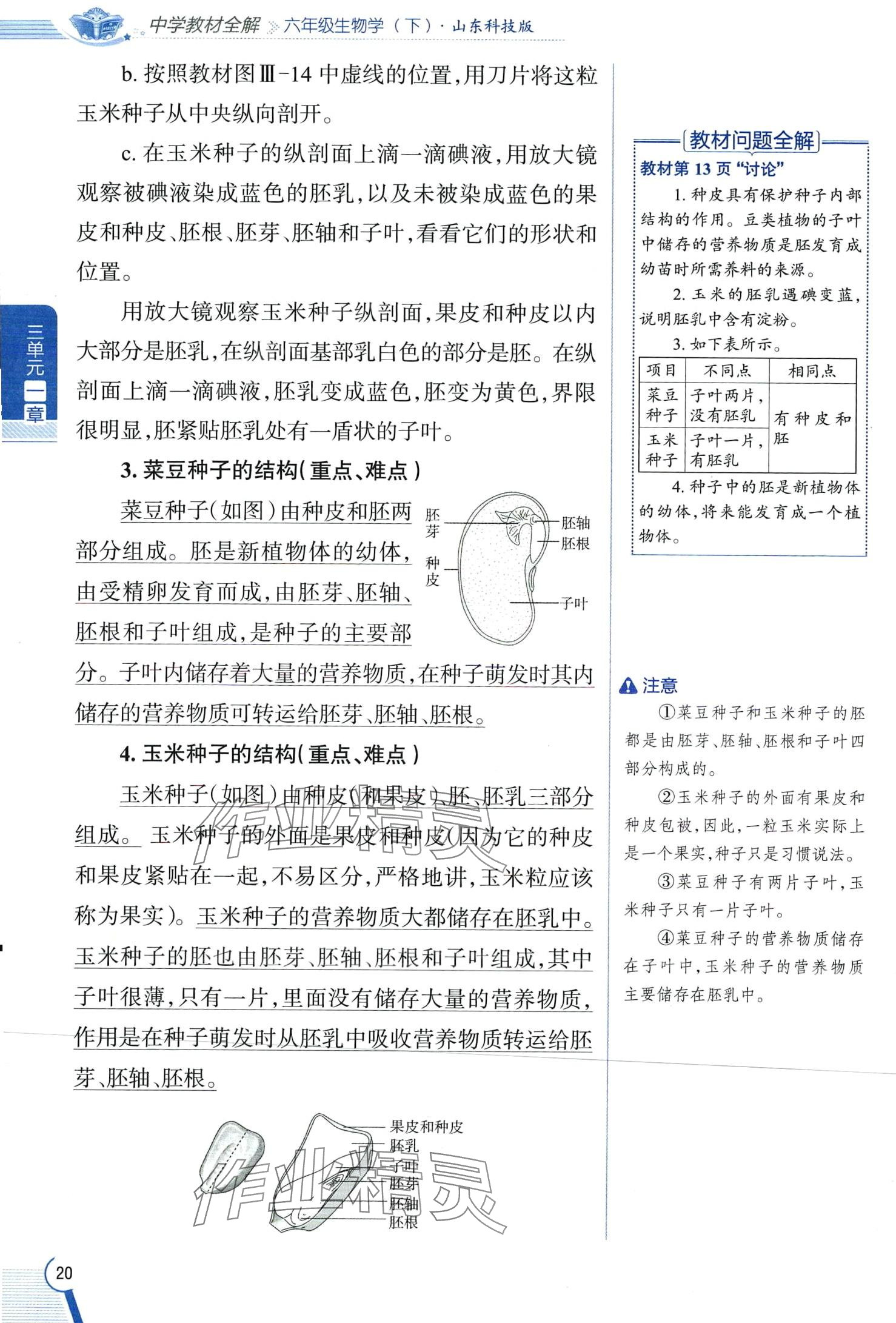 2024年教材課本六年級(jí)生物下冊(cè)魯科版 第20頁(yè)