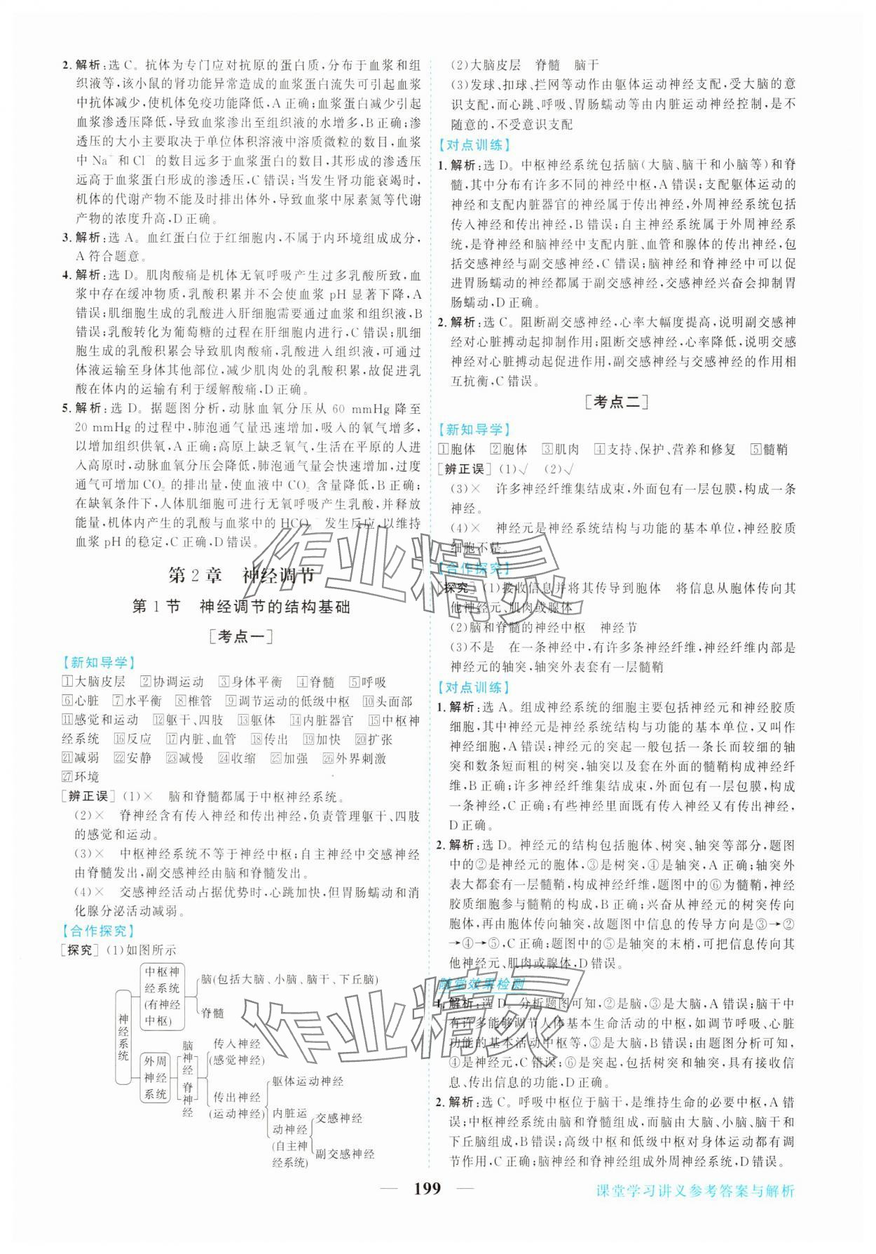 2025年新坐标同步练习高中生物选择性必修第一册人教版 第3页