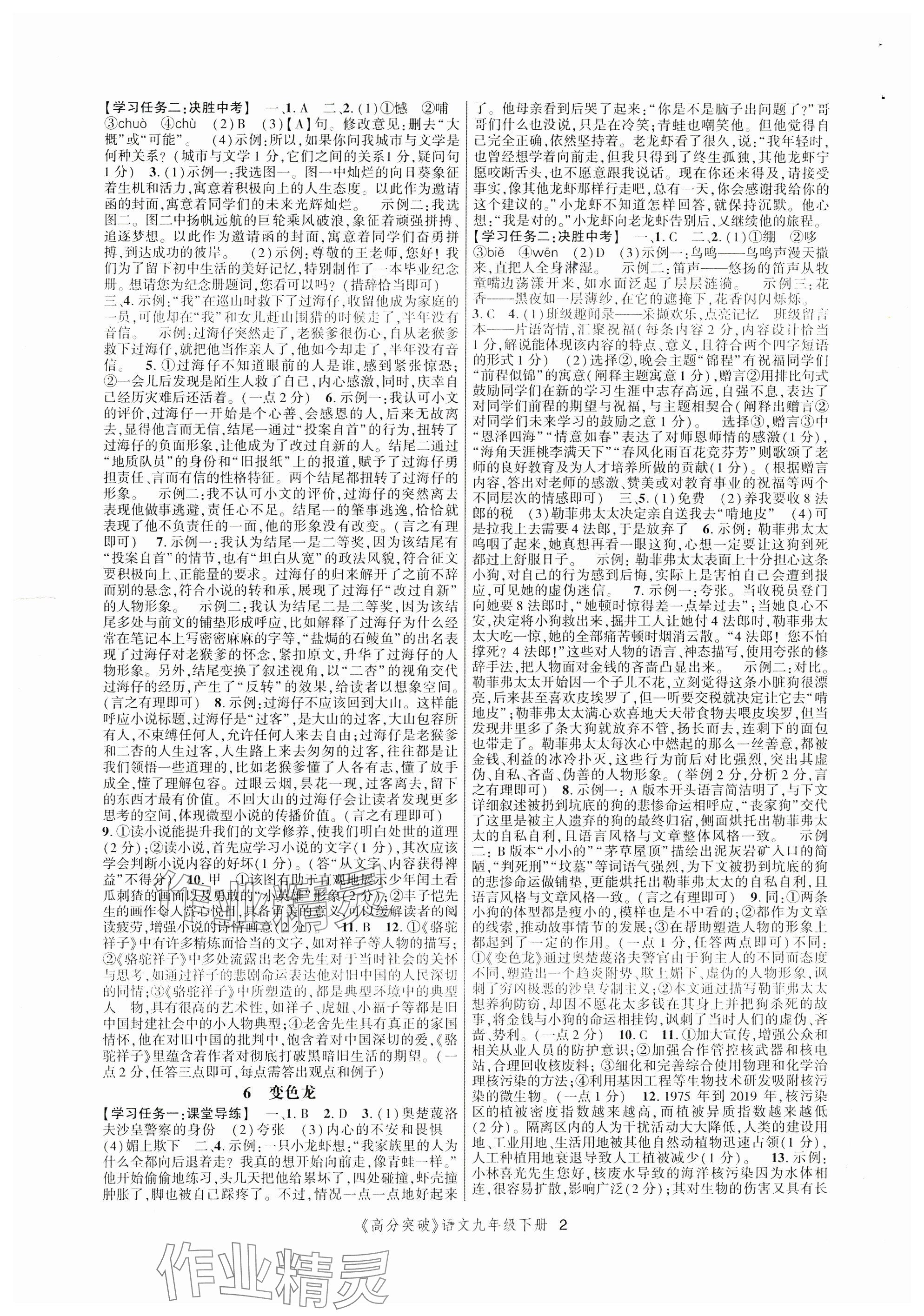 2024年高分突破课时达标讲练测九年级语文下册人教版 参考答案第2页