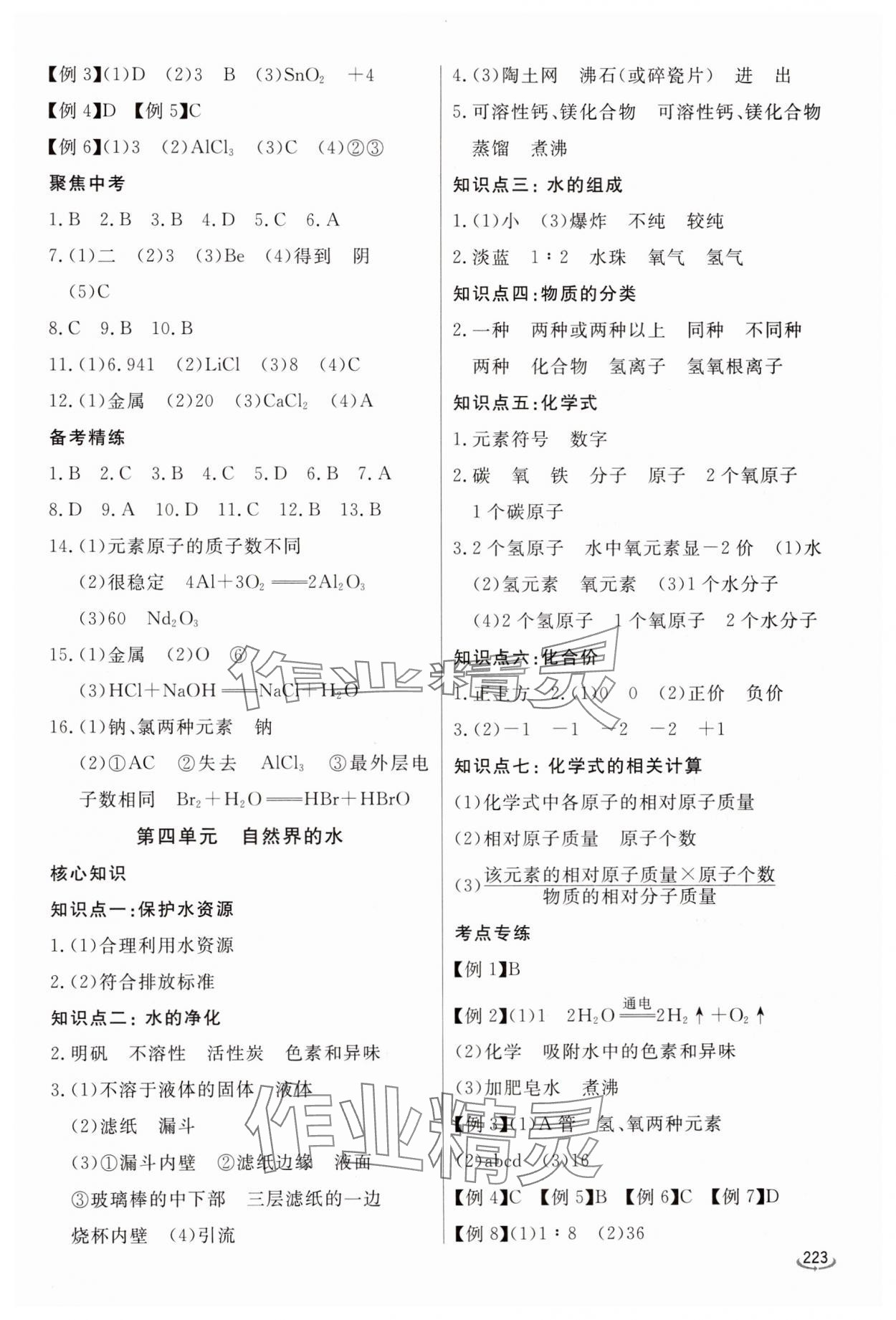 2025年初中學業(yè)水平考試備考指導化學中考臨沂專版&nbsp;參考答案第4頁