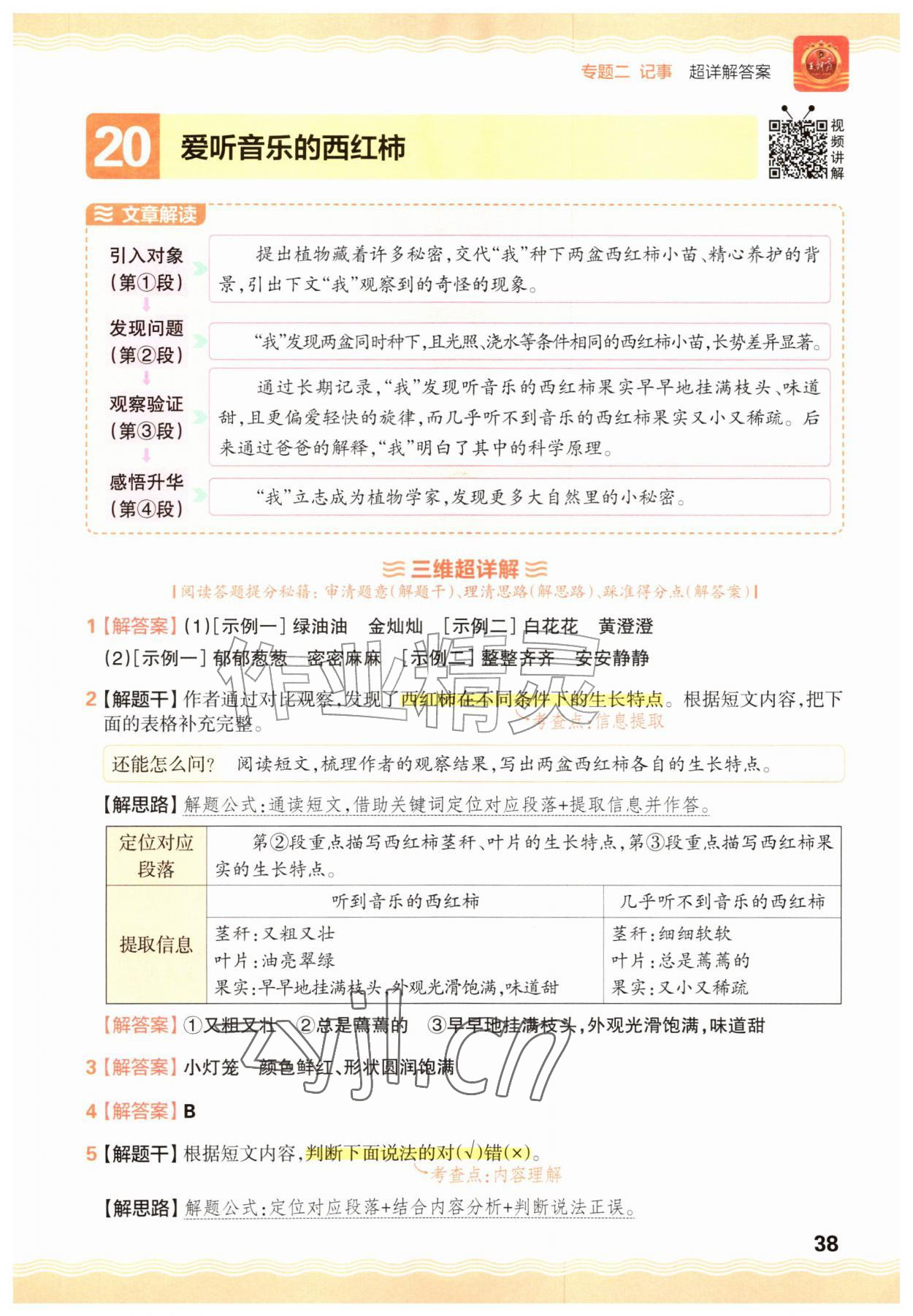 2026年王朝霞小学语文阅读训练100篇三年级&nbsp;参考答案第38页