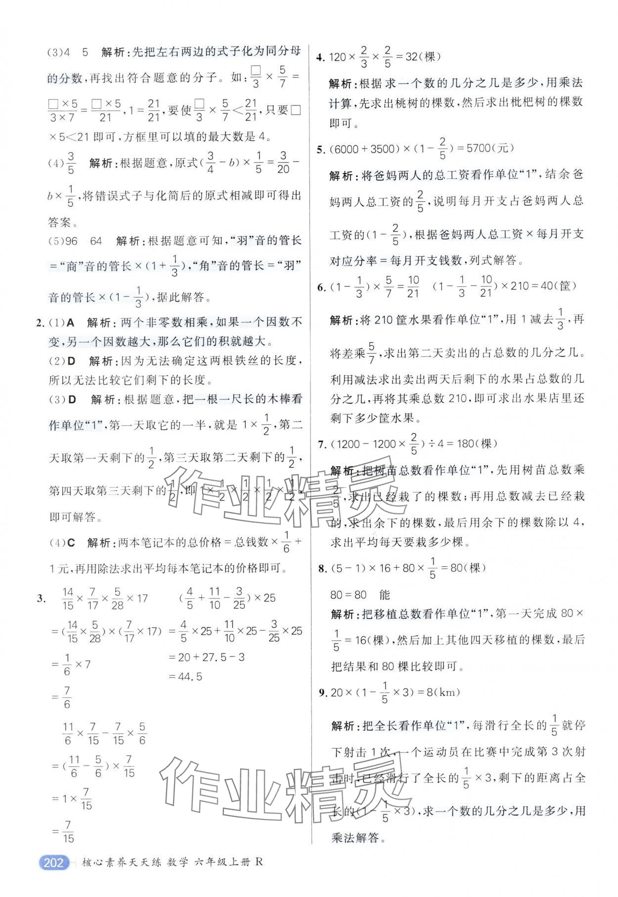 2024年核心素養(yǎng)天天練六年級(jí)數(shù)學(xué)上冊(cè)人教版 參考答案第6頁(yè)