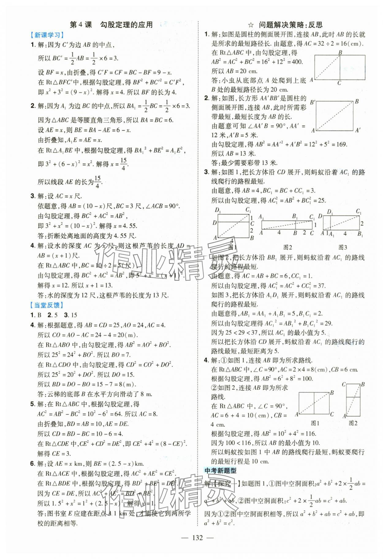 2025年南方新课堂金牌学案八年级数学上册北师大版 第2页