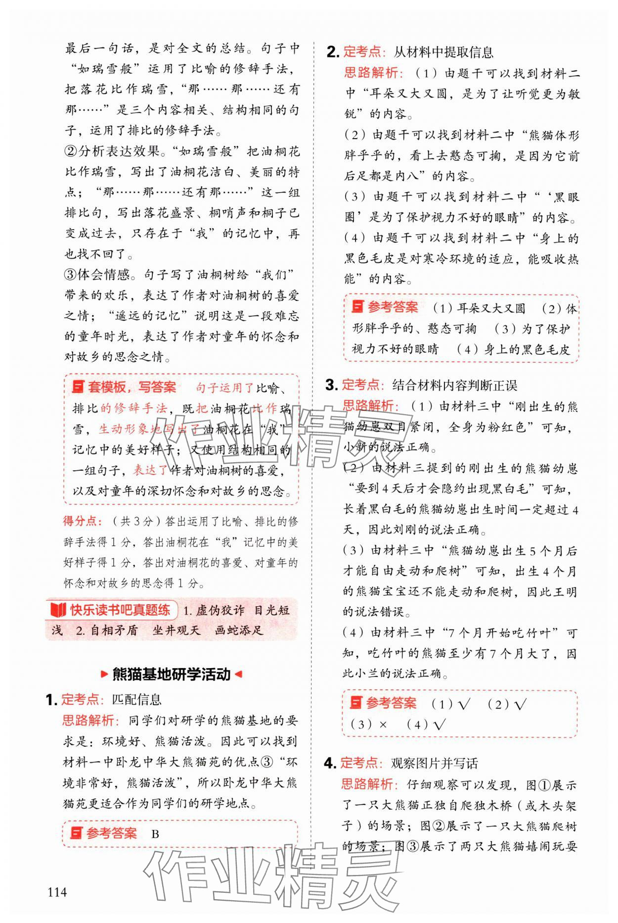 2025年閱讀理解與答題模板三年級語文下冊人教版 參考答案第6頁