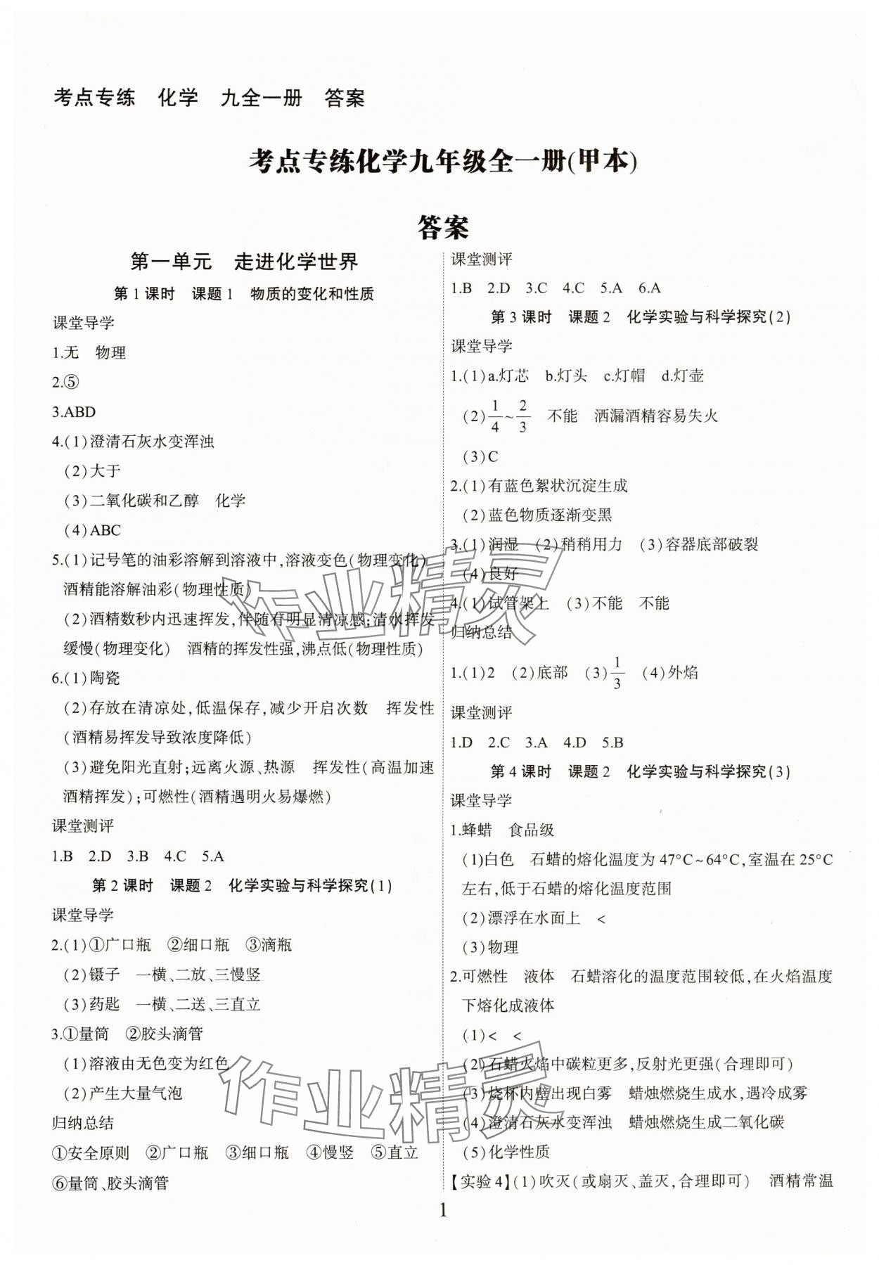 2025年考点专练九年级化学全一册人教版深圳专版 第1页
