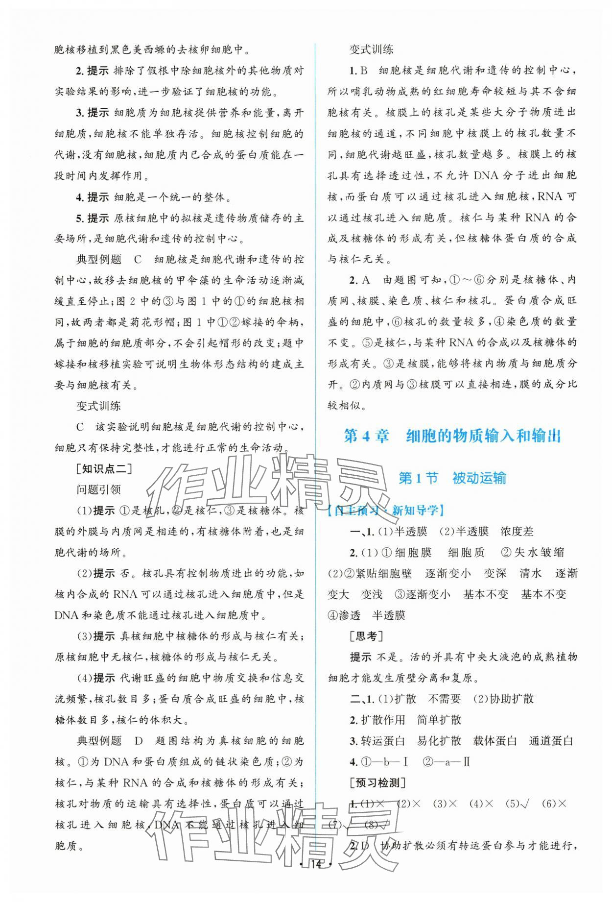 2025年高中同步測(cè)控優(yōu)化設(shè)計(jì)（分子與細(xì)胞）高中生物必修1人教版增強(qiáng)版 參考答案第13頁(yè)