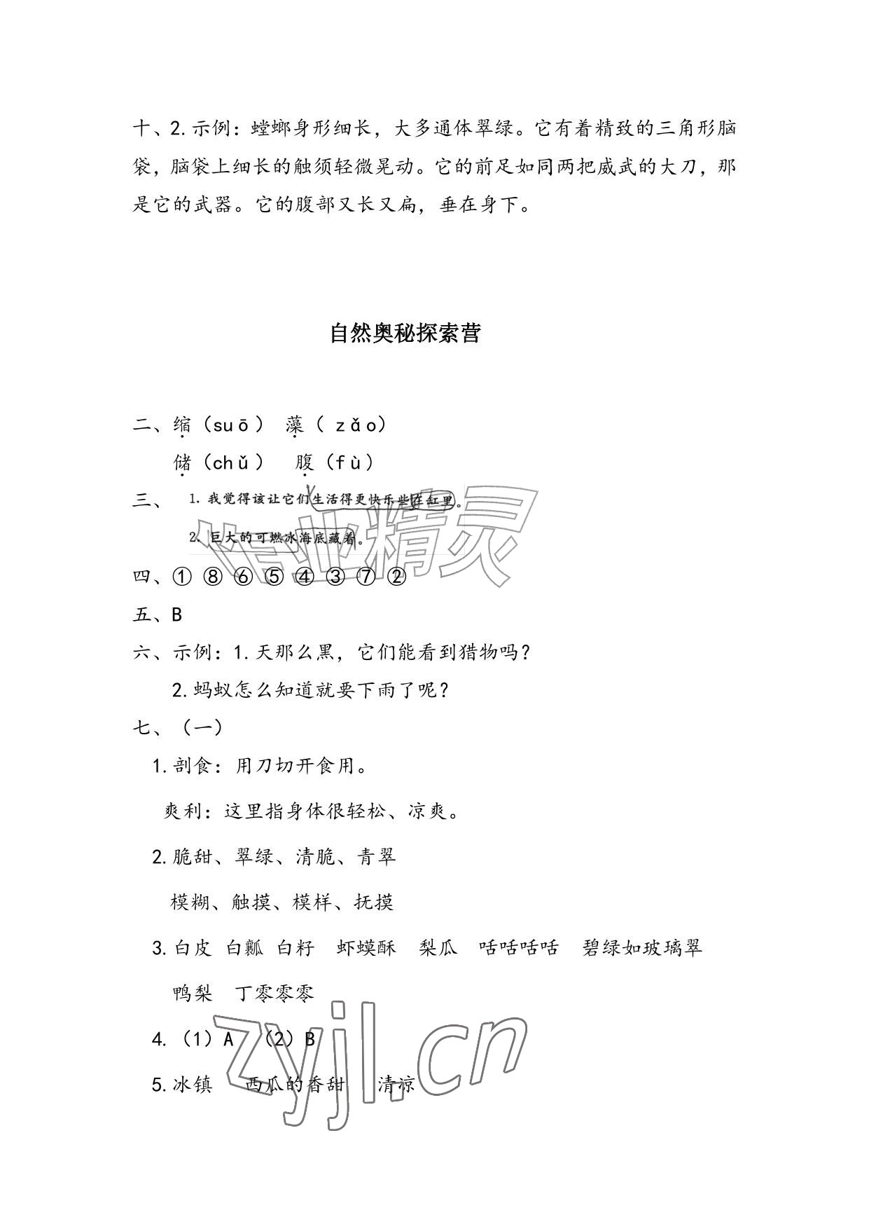 2026年暑假作业安徽少年儿童出版社三年级语文人教版&nbsp;参考答案第3页
