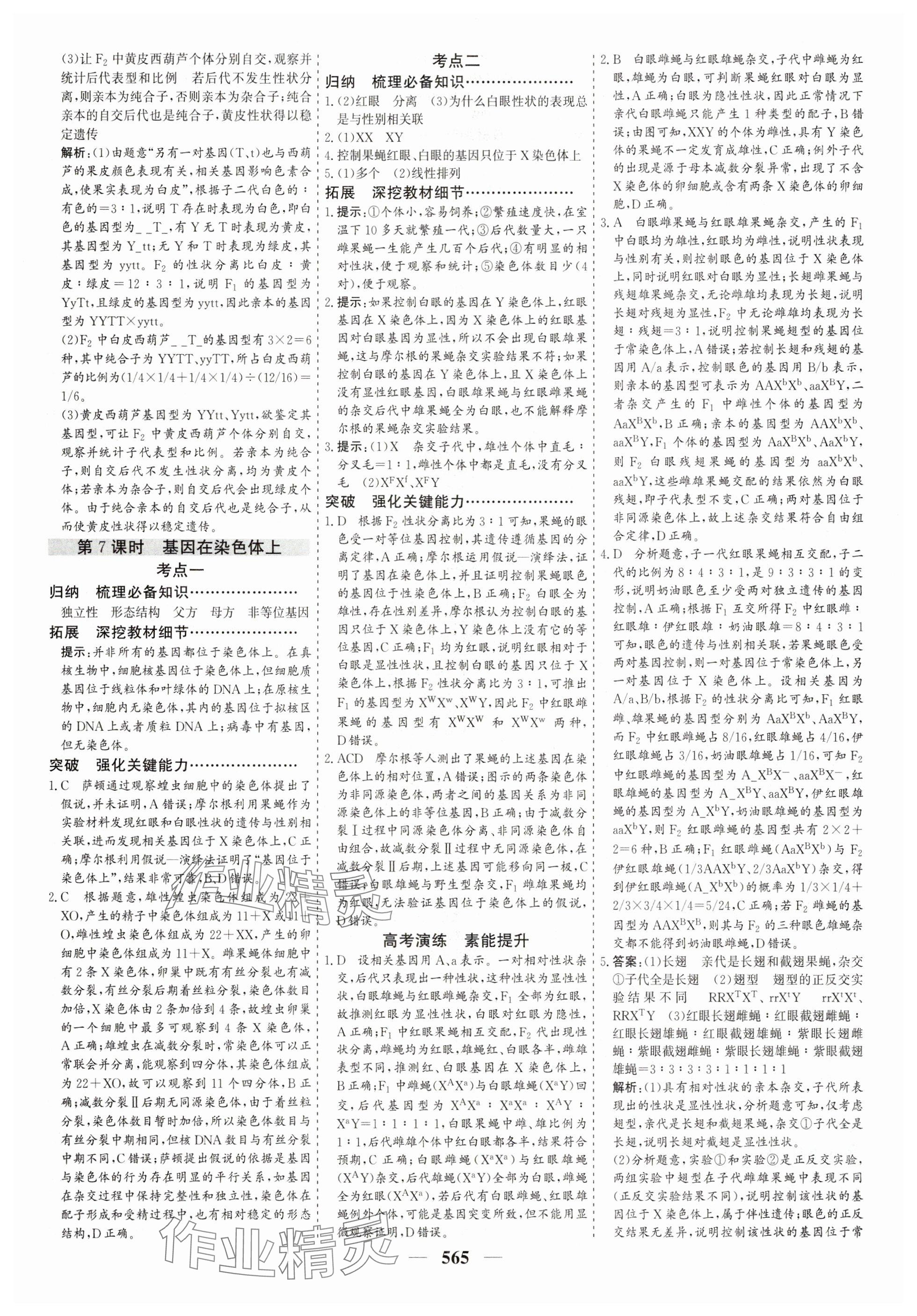 2025年優化探究高考總復習高中生物全一冊人教版 參考答案第25頁