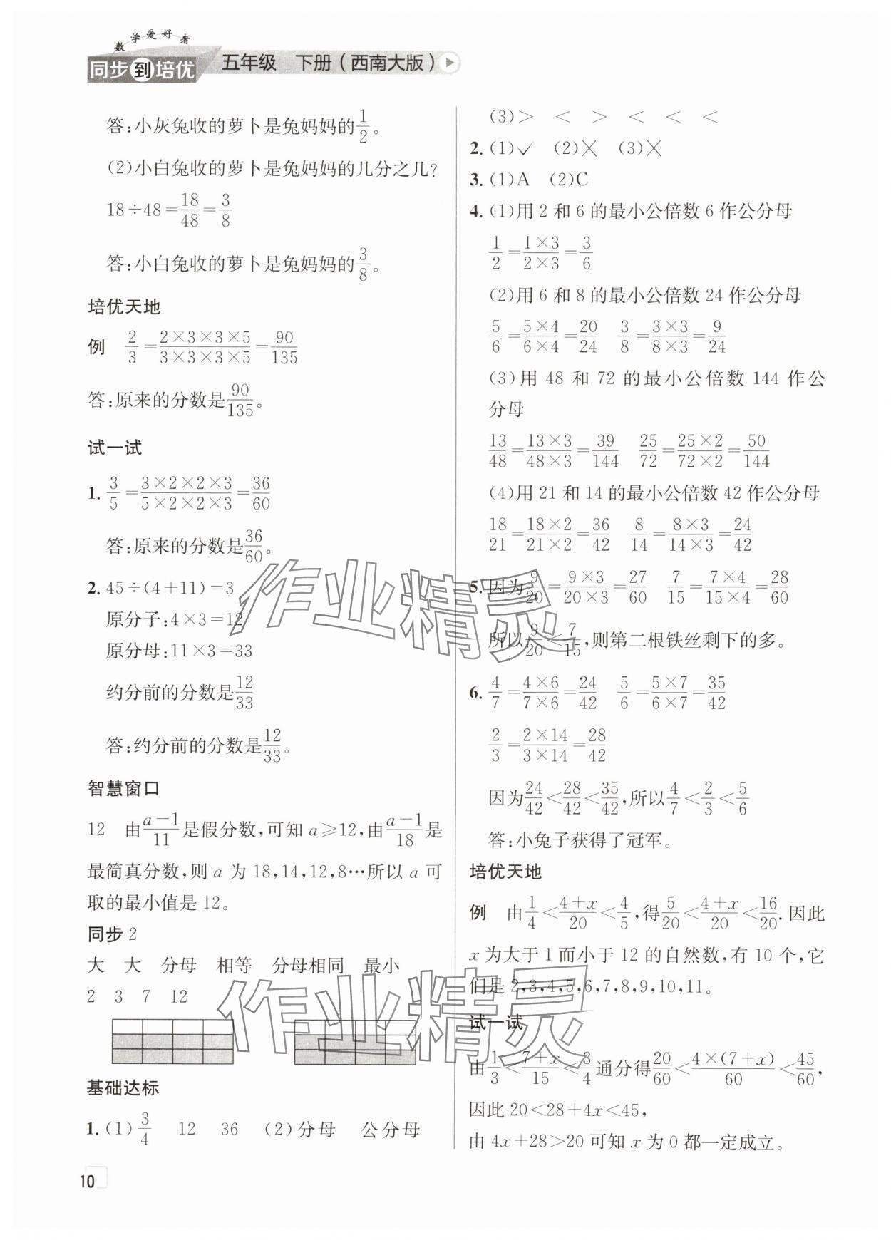 2025年數學愛好者同步到培優五年級下冊西師大版 第10頁