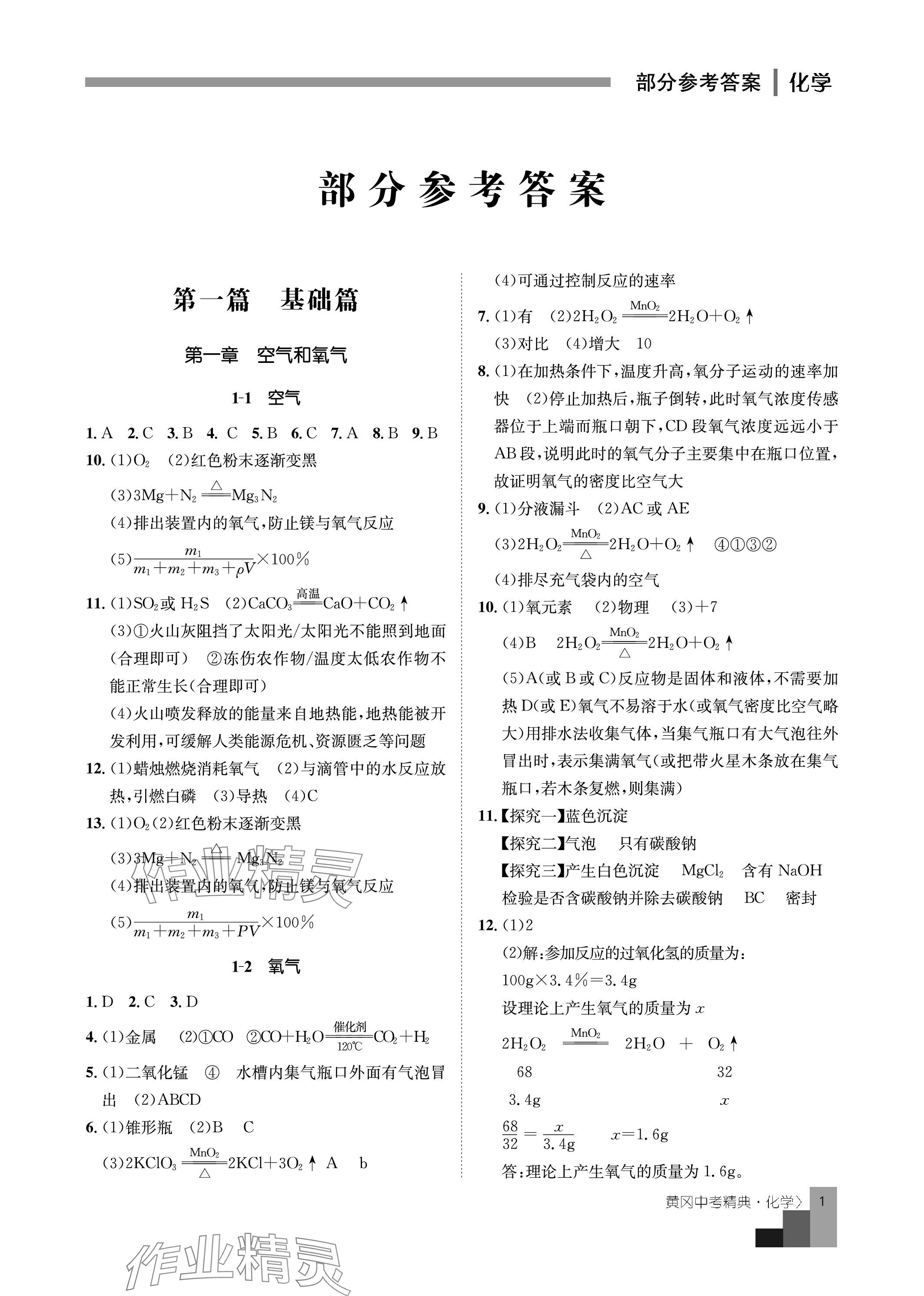 2024年中考精典九年级化学 参考答案第1页