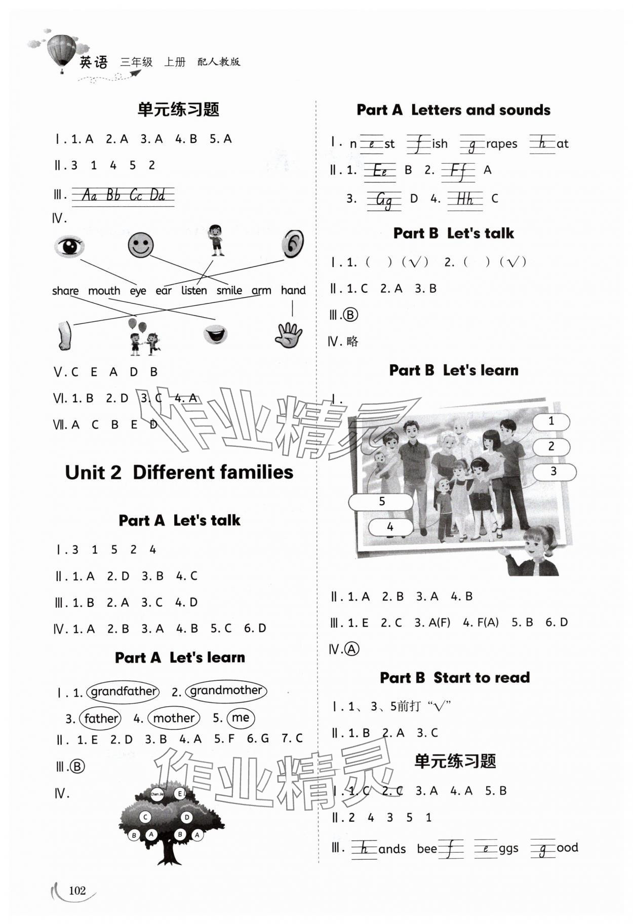 2024年同步練習冊山東科學技術出版社三年級英語上冊人教版 第2頁