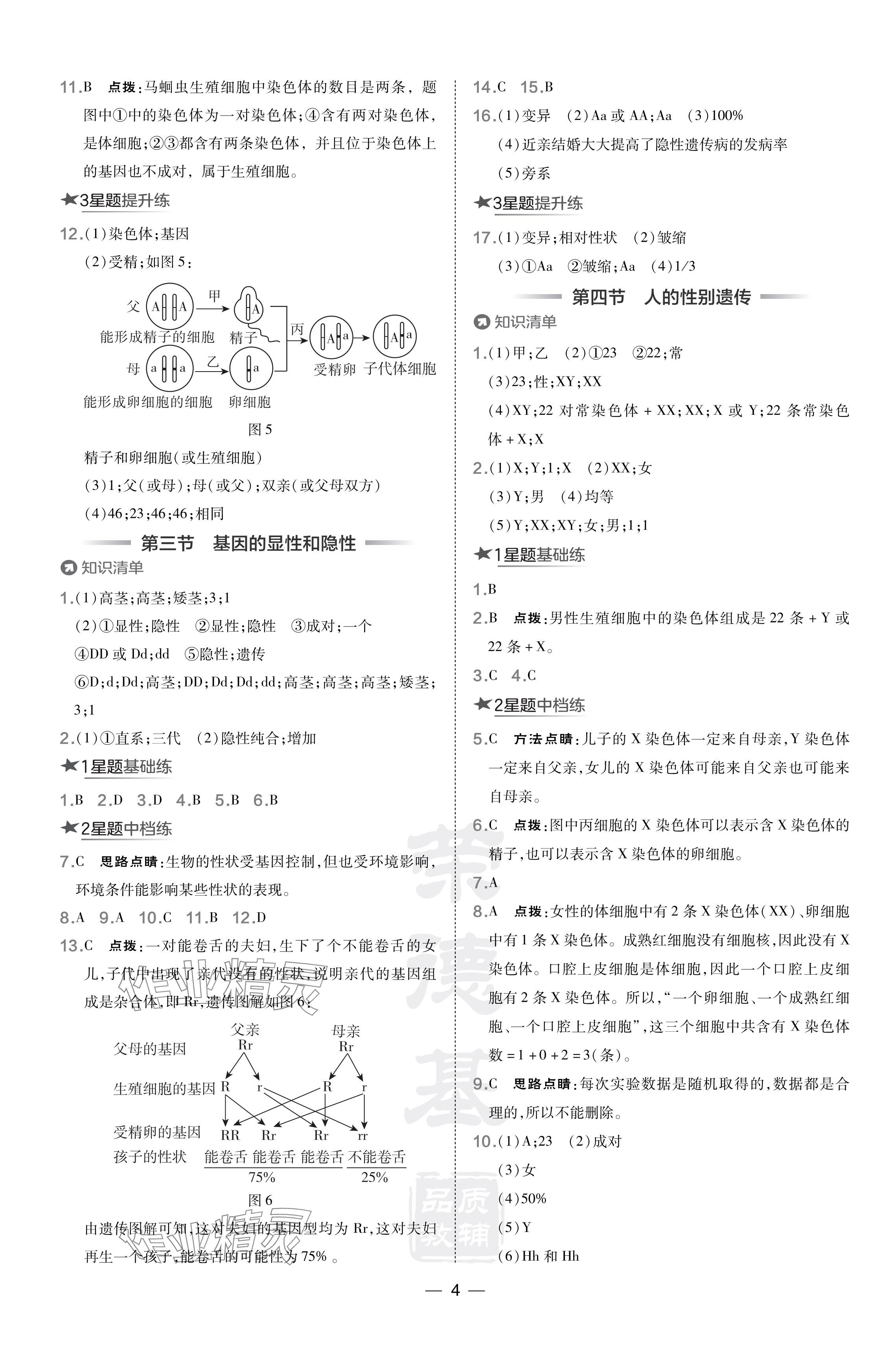 2024年点拨训练八年级生物下册人教版 参考答案第4页