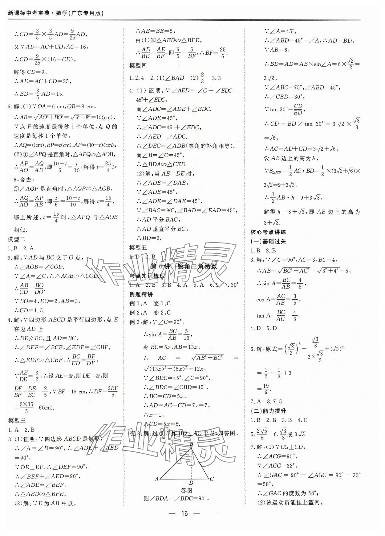 2024年新课标中考宝典数学广东专版 参考答案第16页