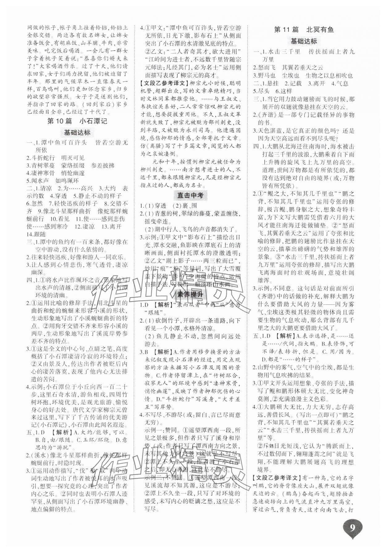 2025年中考古詩文閱讀河南專版 參考答案第8頁