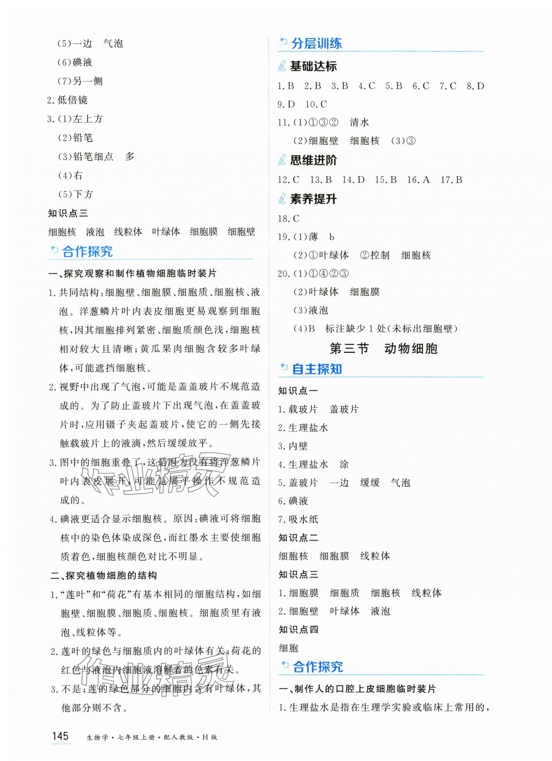 2025年资源与评价黑龙江教育出版社七年级生物上册人教版H版 第3页