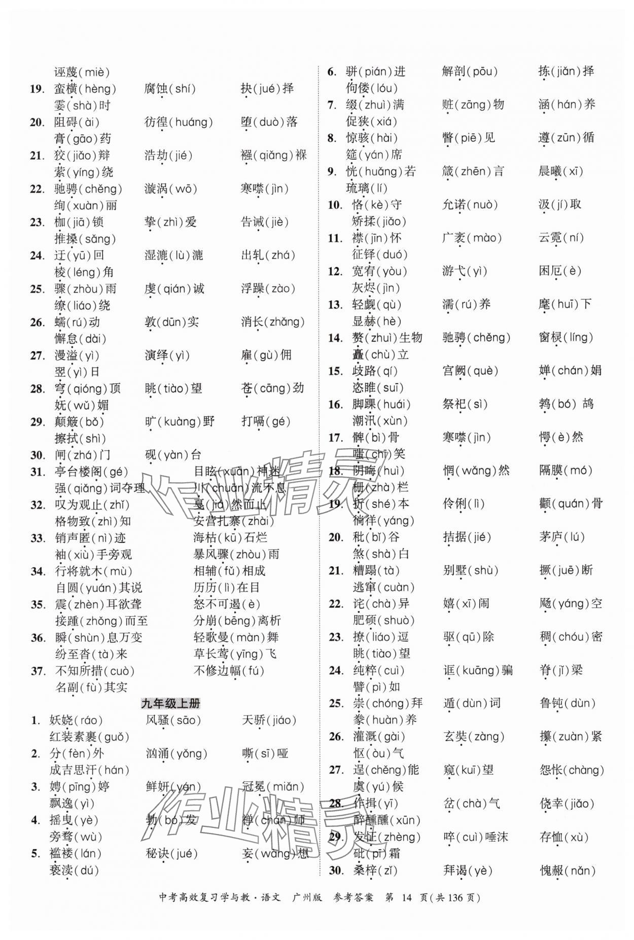 2025年中考高效复习学与教语文广州专版 第14页