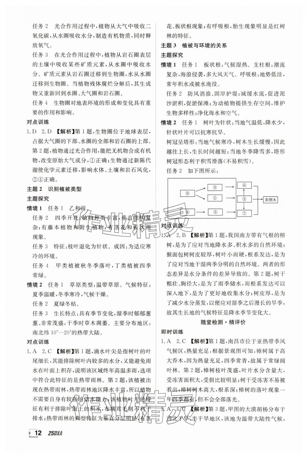 2024年金太陽導(dǎo)學(xué)案高中地理必修第一冊魯教版 參考答案第12頁