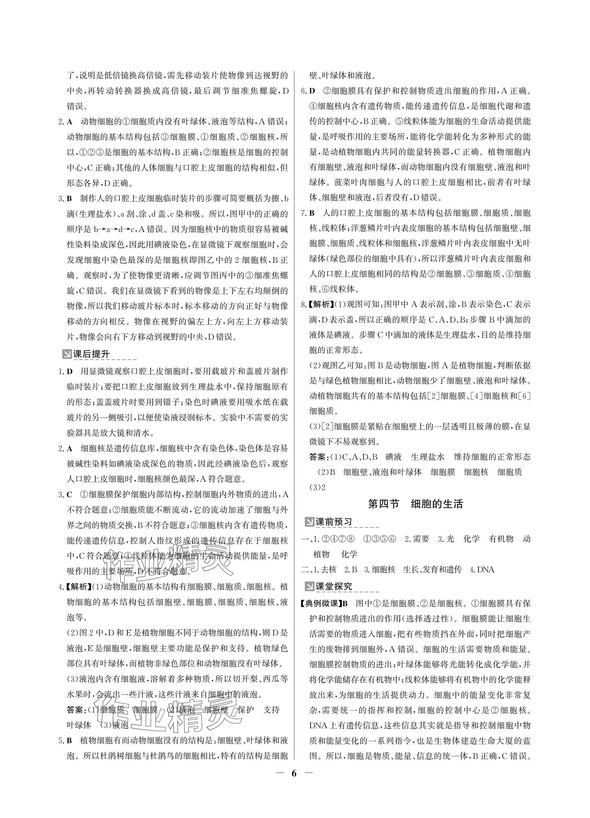 2024年南方新課堂金牌學(xué)案七年級生物上冊人教版深圳專版 參考答案第6頁