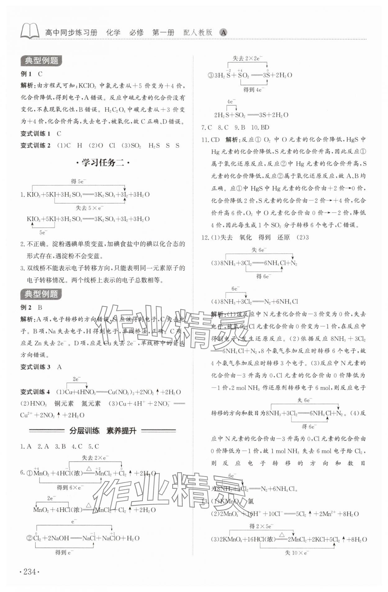 2025年同步練習冊山東科學技術出版社高中化學必修第一冊人教版 第6頁
