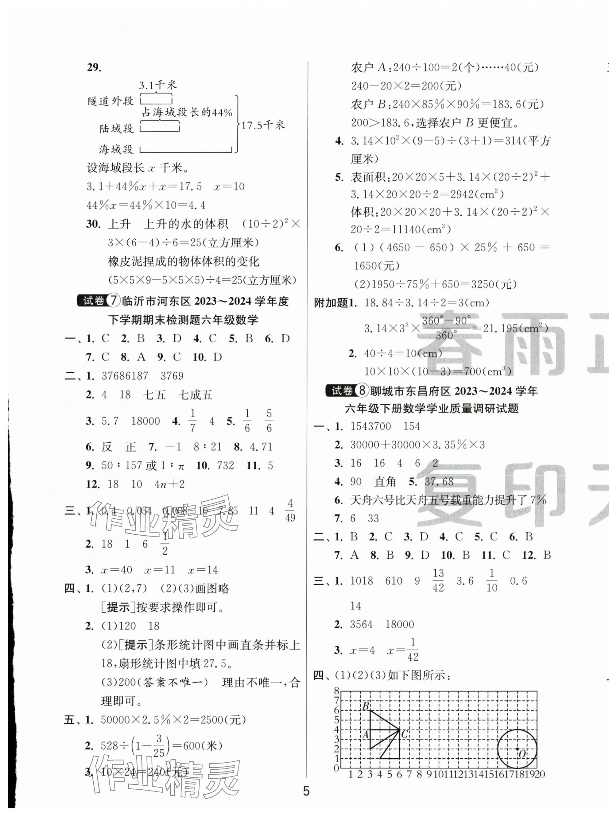 2025年小學(xué)畢業(yè)升學(xué)考試試卷精選六年級(jí)數(shù)學(xué)人教版山東專版 第5頁(yè)