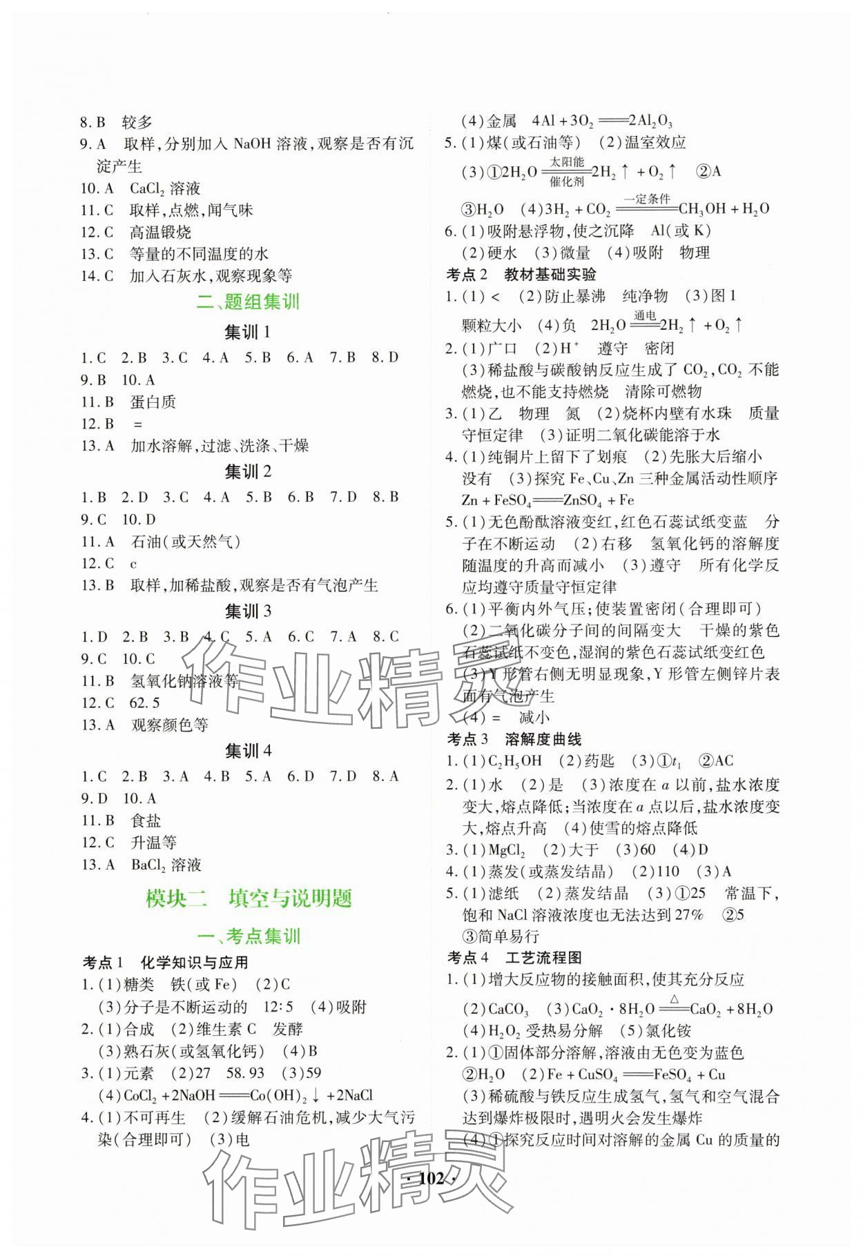 2025年專(zhuān)項(xiàng)新評(píng)價(jià)中考二輪化學(xué)江西專(zhuān)版 第2頁(yè)