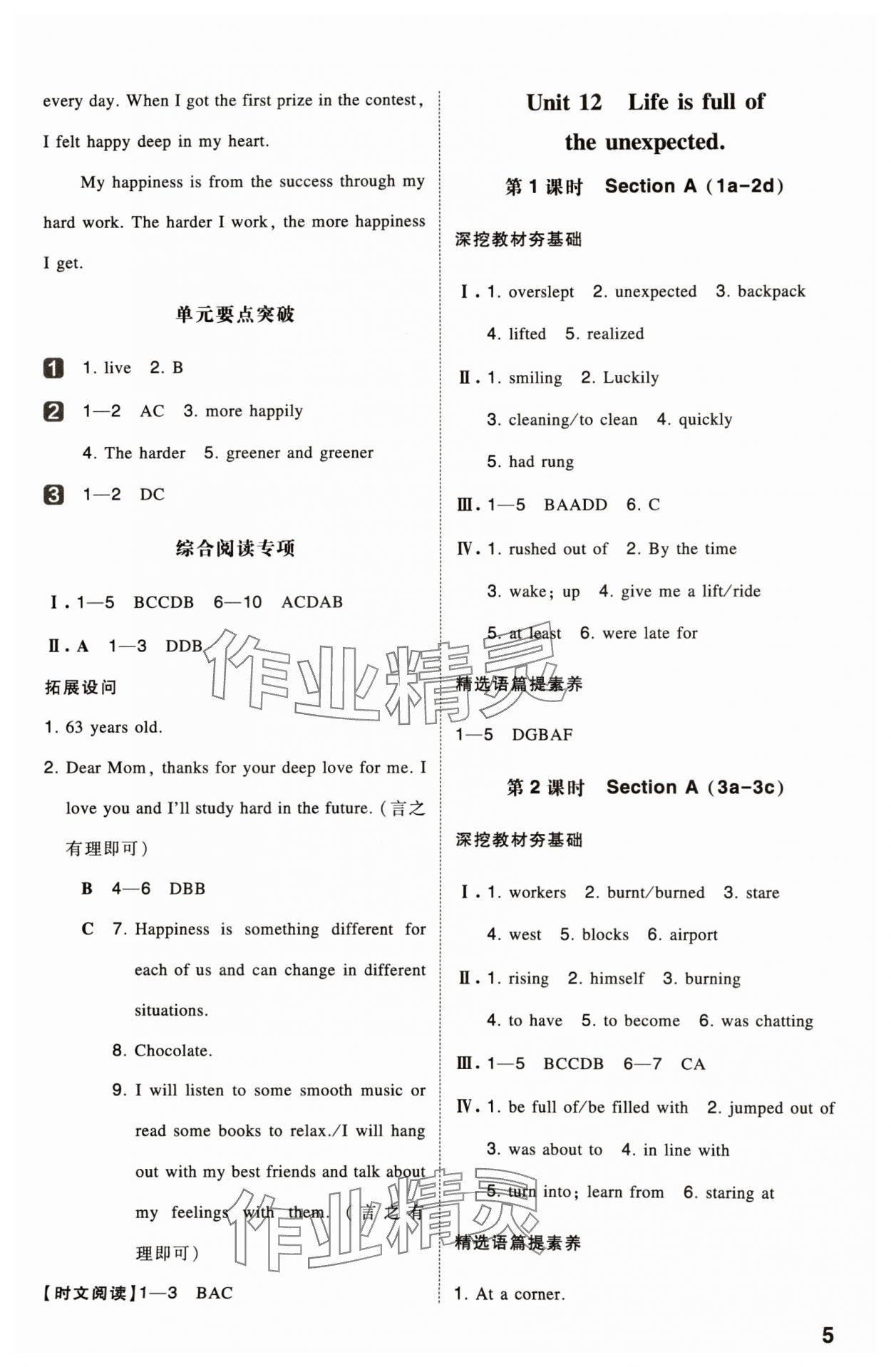 2025年一本九年級(jí)英語(yǔ)下冊(cè)人教版安徽專版 參考答案第4頁(yè)