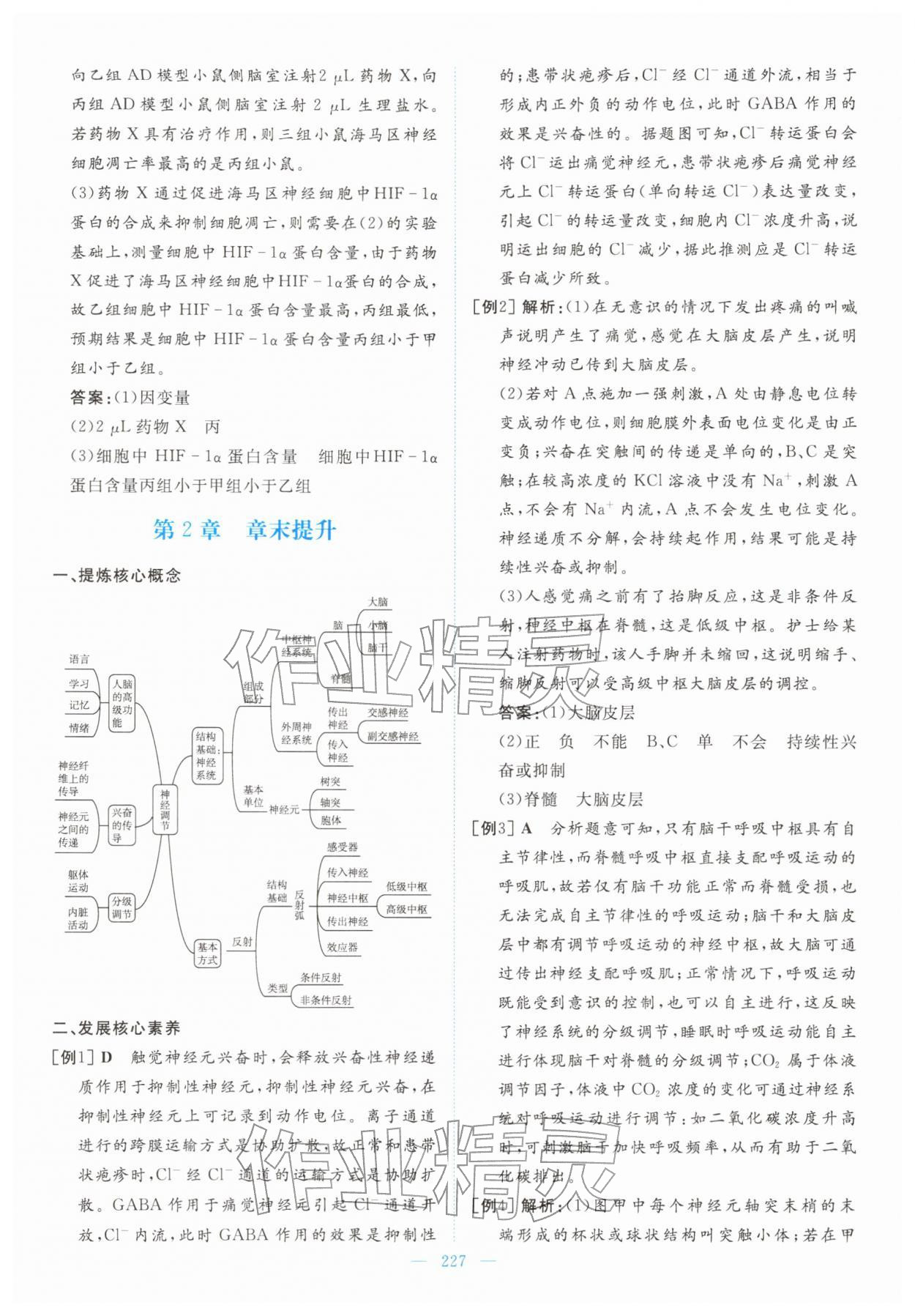 2025年高中同步测控全优设计优佳学案高中生物选择性必修1人教版&nbsp;第13页