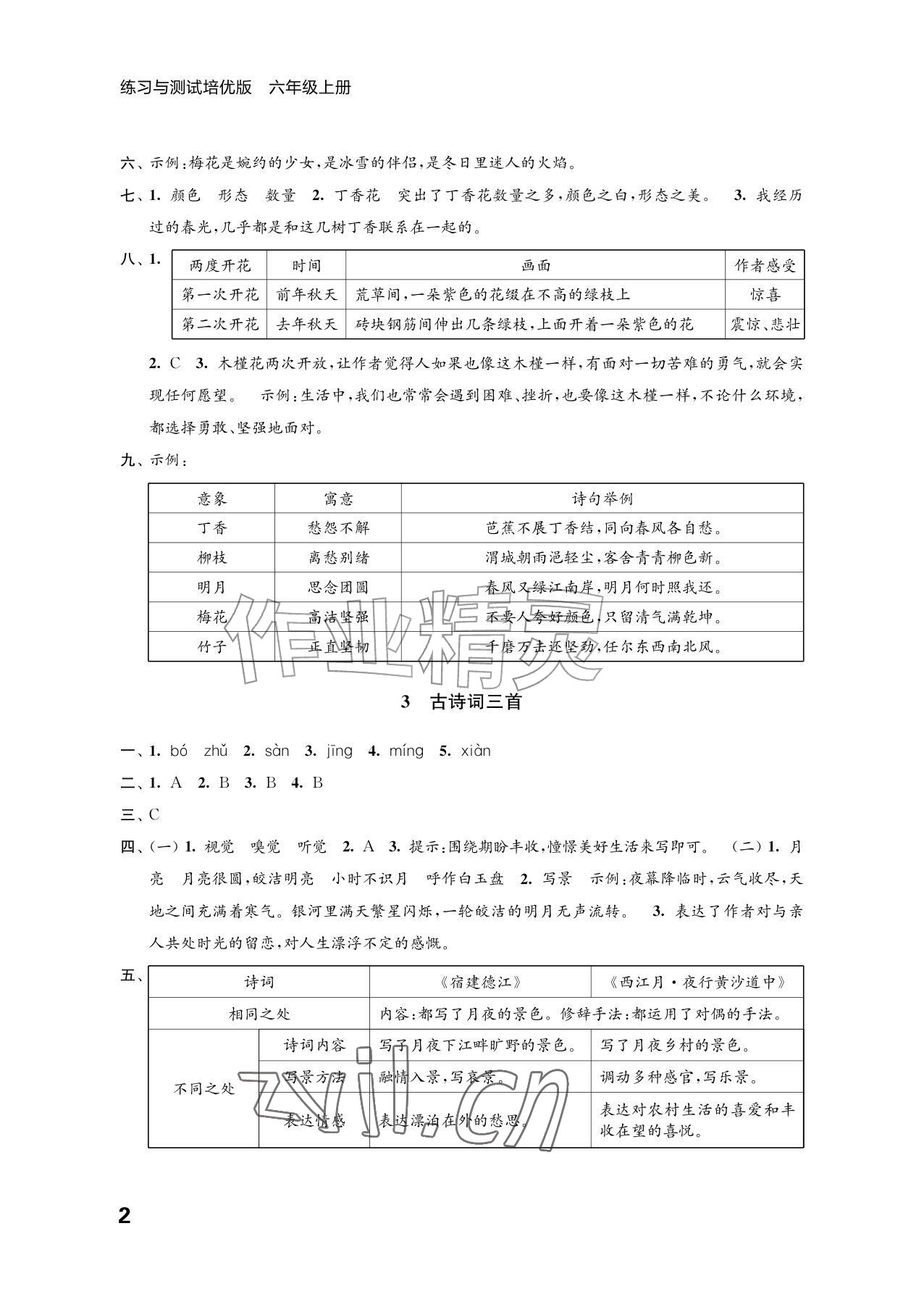 2026年练习与测试六年级语文上册人教版培优版&nbsp;参考答案第2页