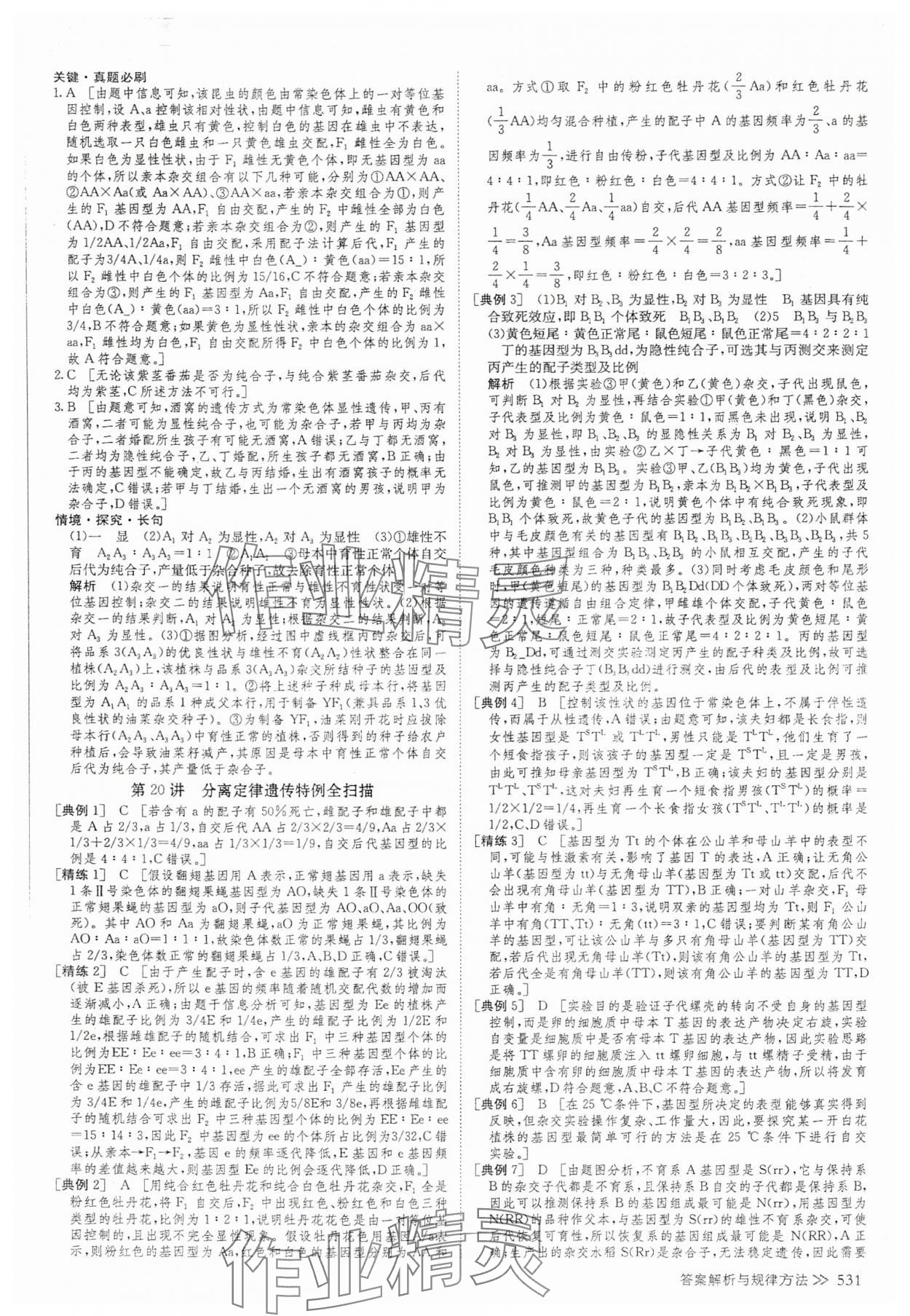 2025年創新設計高考總復習高中生物 參考答案第25頁