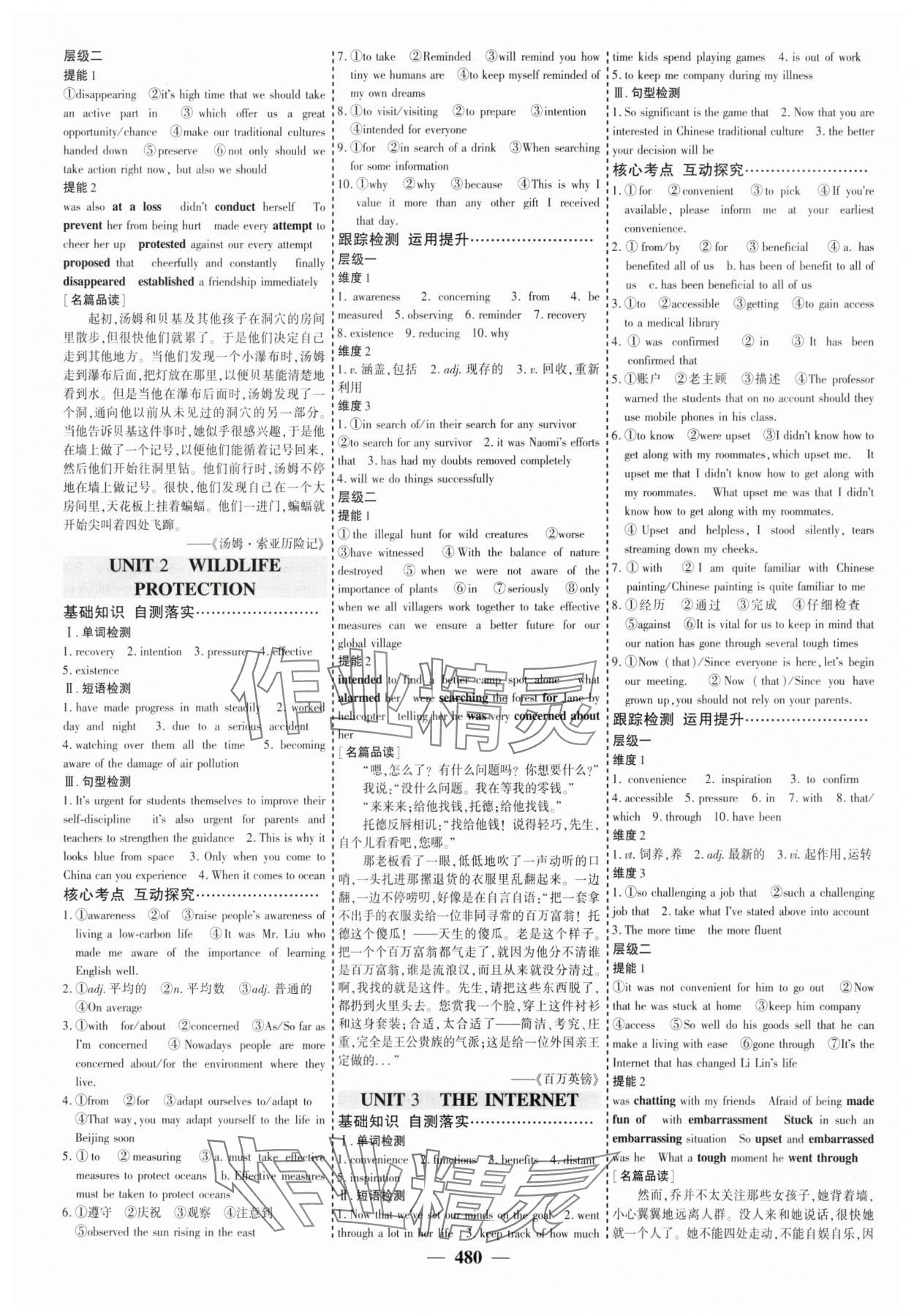 2025年優(yōu)化探究高考總復(fù)習(xí)英語人教版 參考答案第4頁