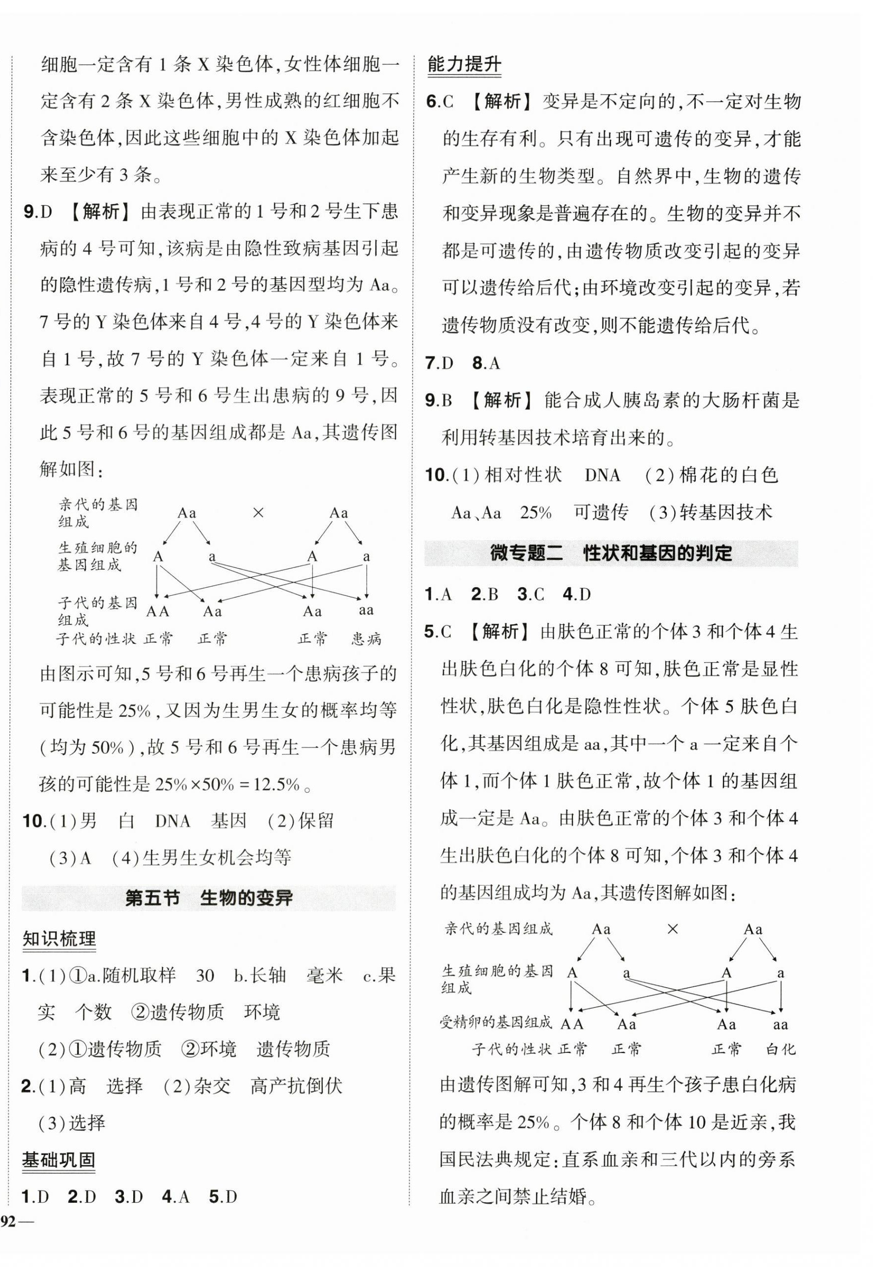 2024年?duì)钤刹怕穭?chuàng)優(yōu)作業(yè)八年級生物下冊人教版 第6頁