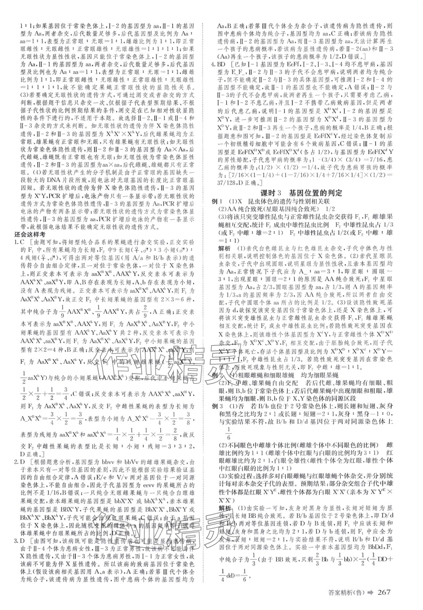 2024年創(chuàng)新設(shè)計(jì)二輪專題復(fù)習(xí)高三二輪生物 第12頁(yè)