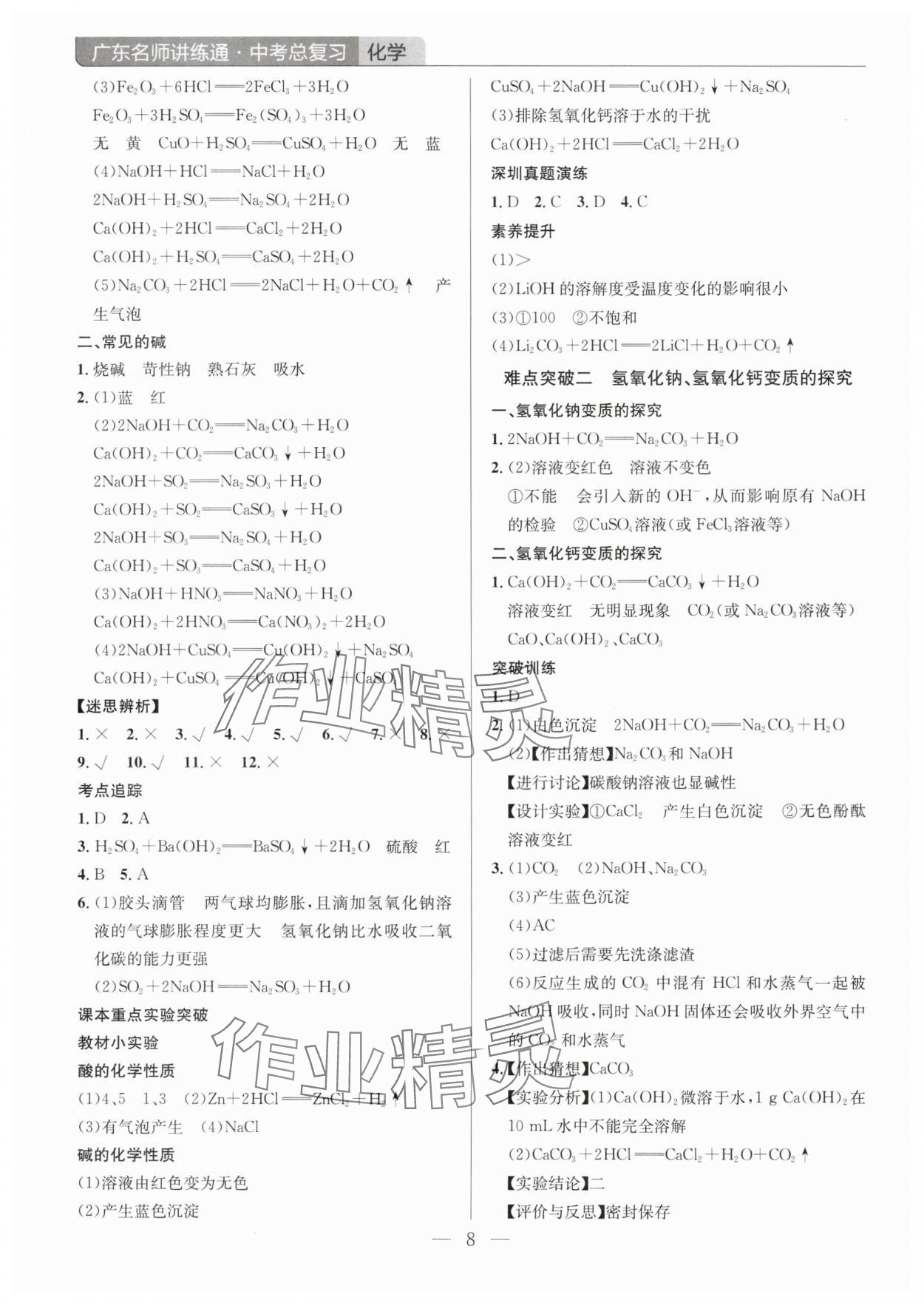 2025年廣東名師講練通中考總復習化學深圳專版 第8頁