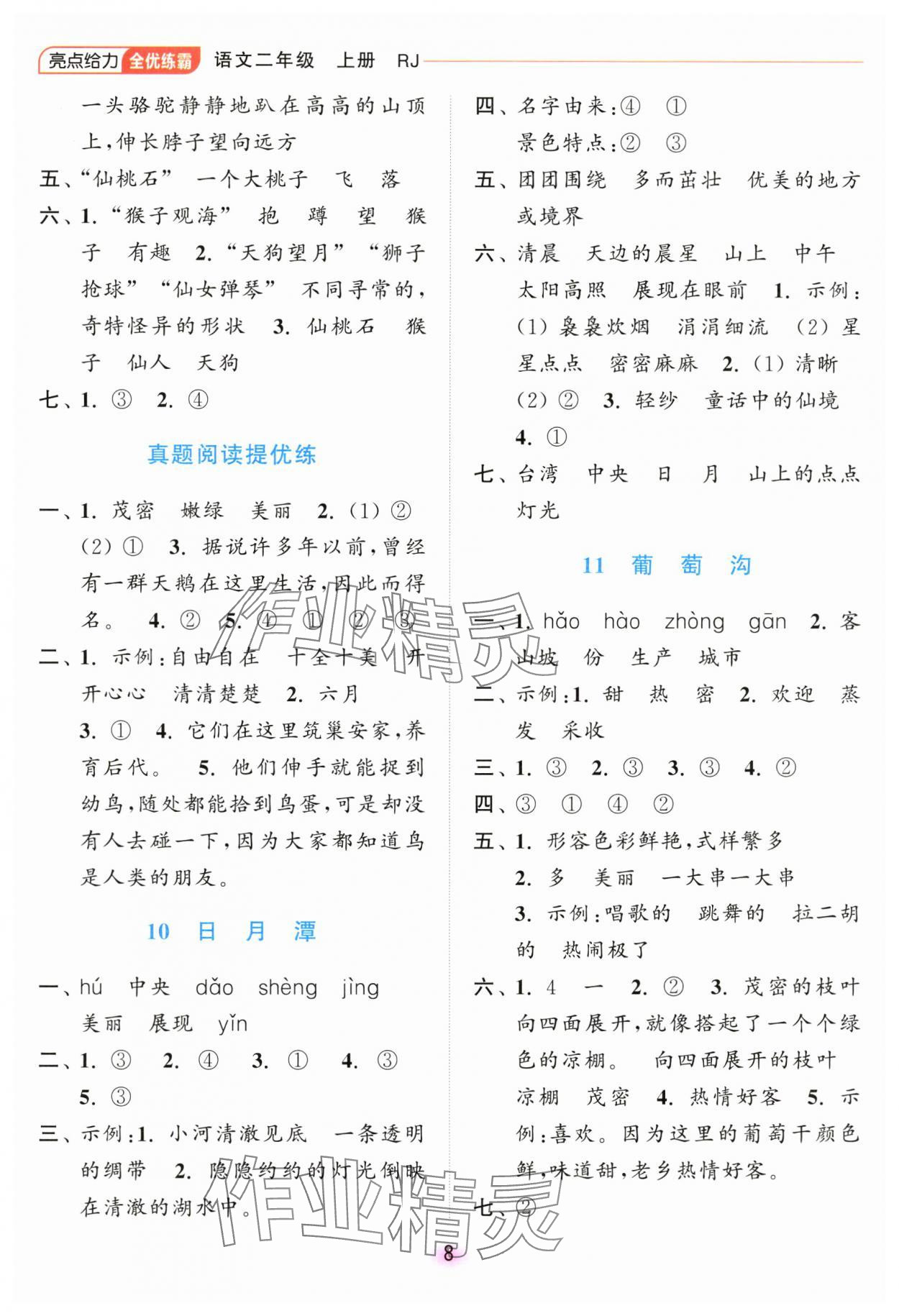 2024年亮點(diǎn)給力全優(yōu)練霸二年級(jí)語(yǔ)文上冊(cè)人教版 第8頁(yè)