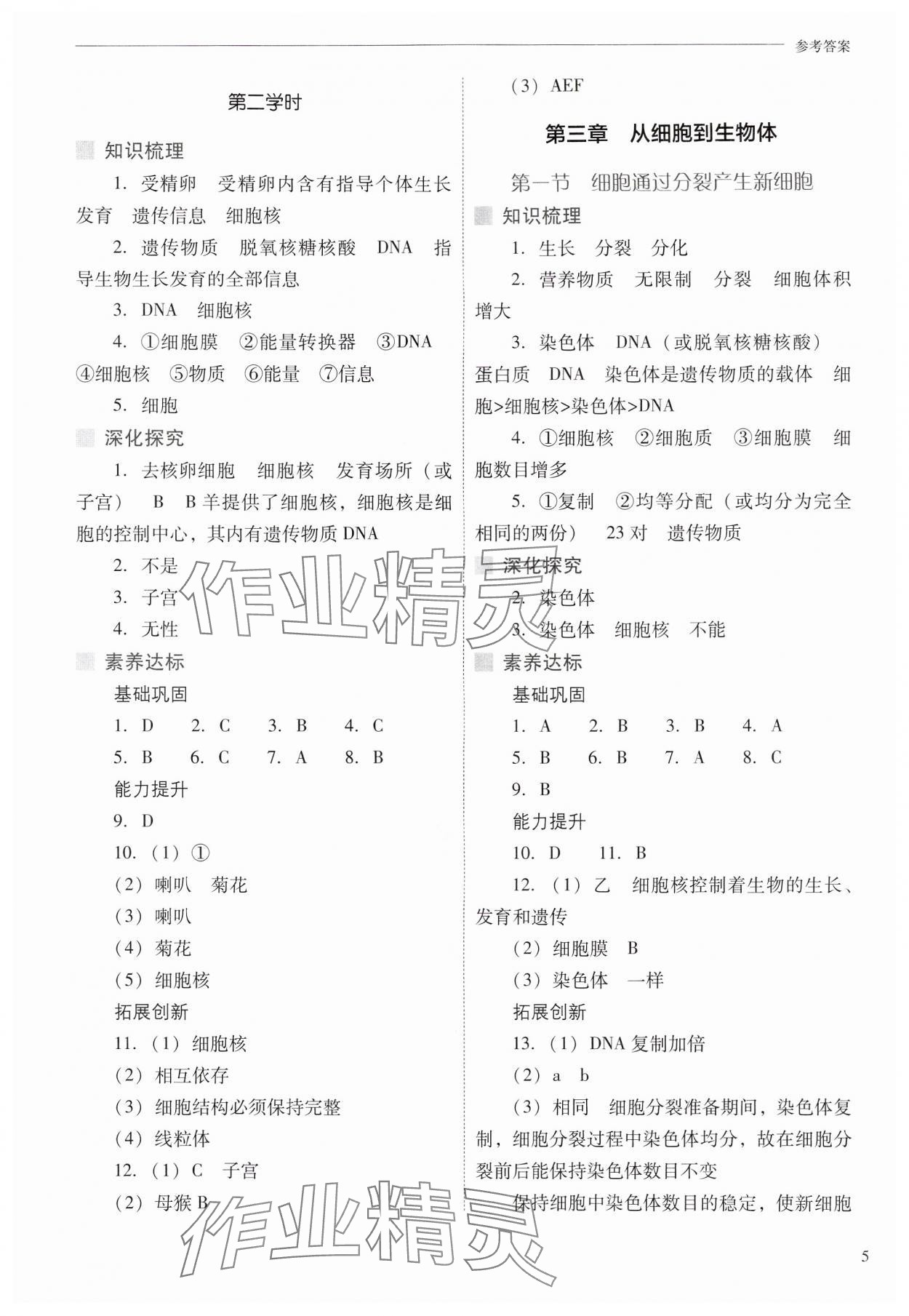 2024年新課程問題解決導(dǎo)學(xué)方案七年級生物上冊人教版 參考答案第5頁