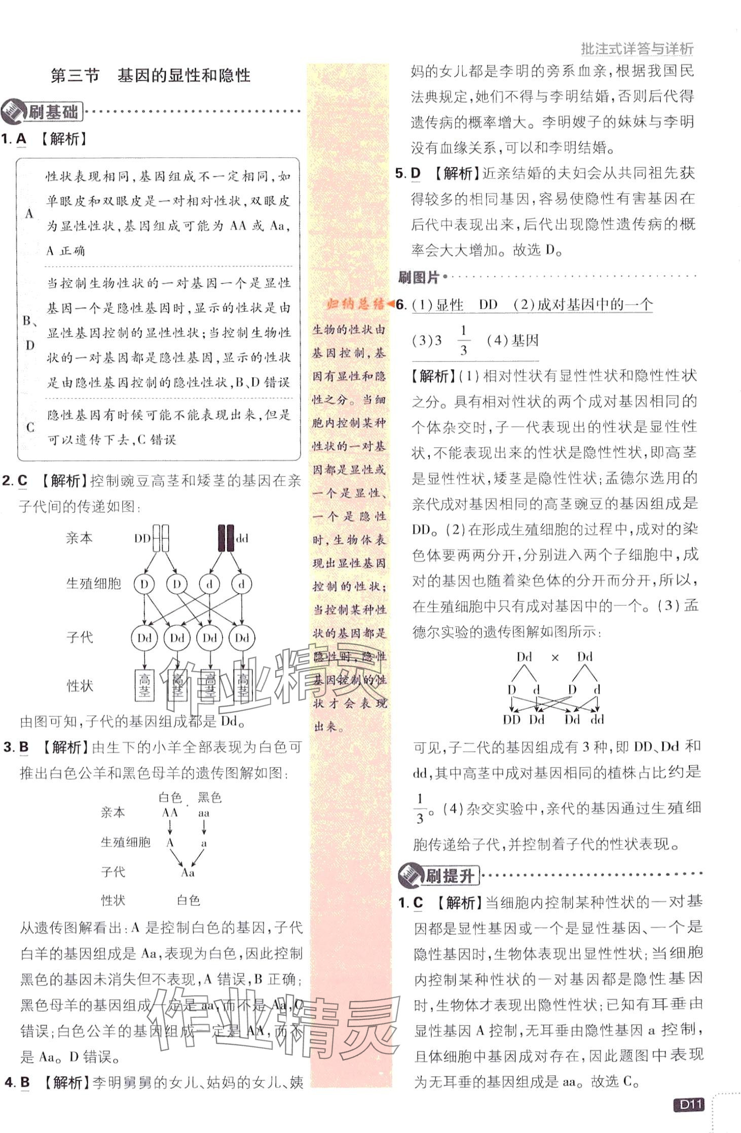 2024年初中必刷题八年级生物下册人教版 第11页