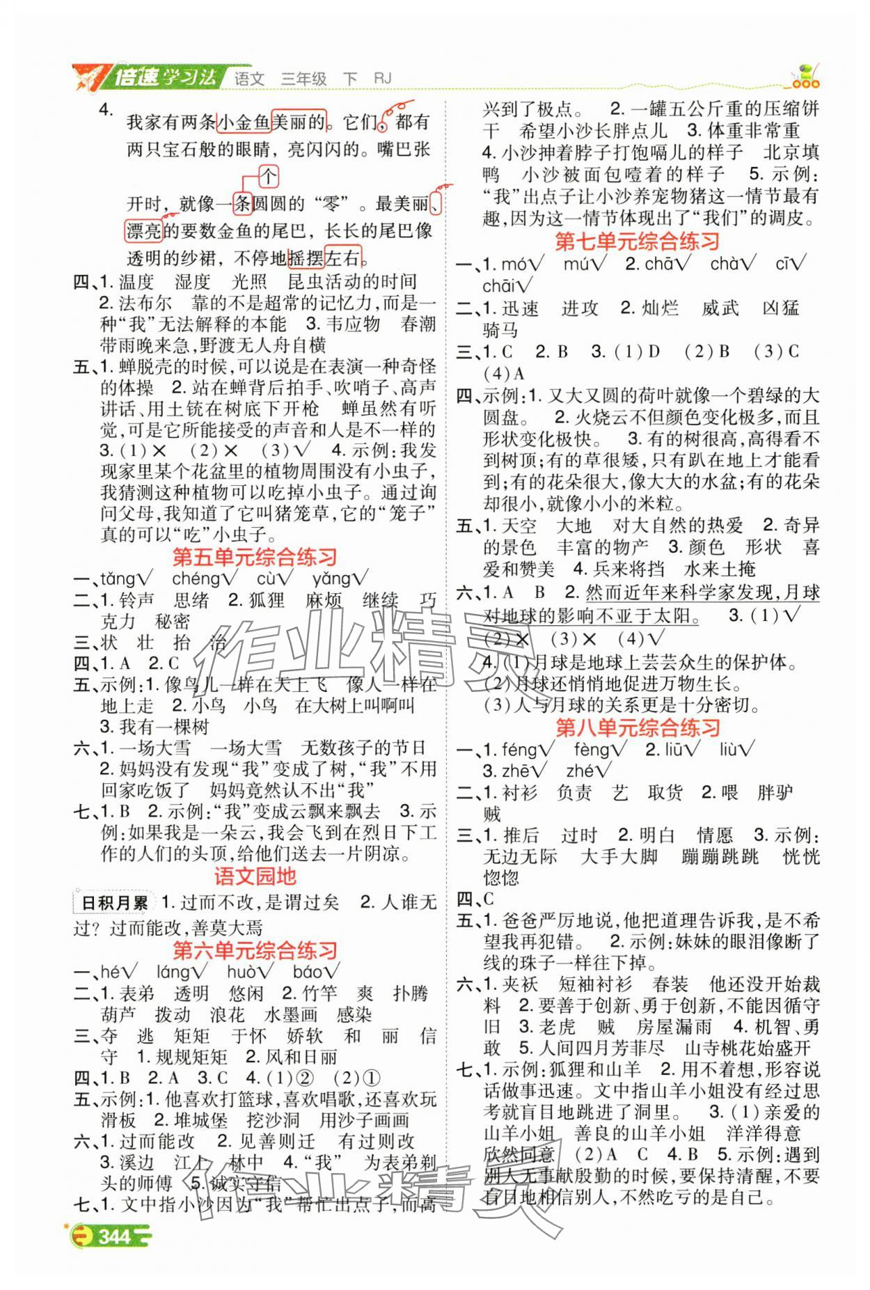 2025年倍速学习法三年级语文下册人教版 参考答案第2页