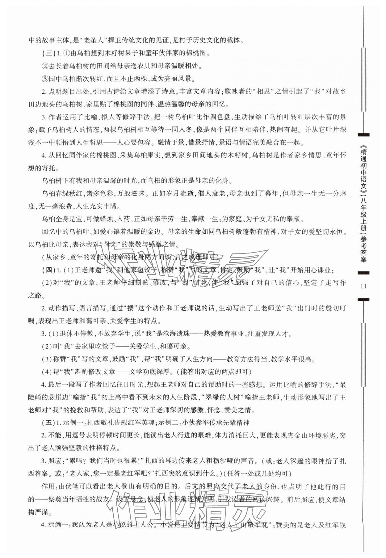 2025年精通初中語文八年級上冊人教版 參考答案第11頁