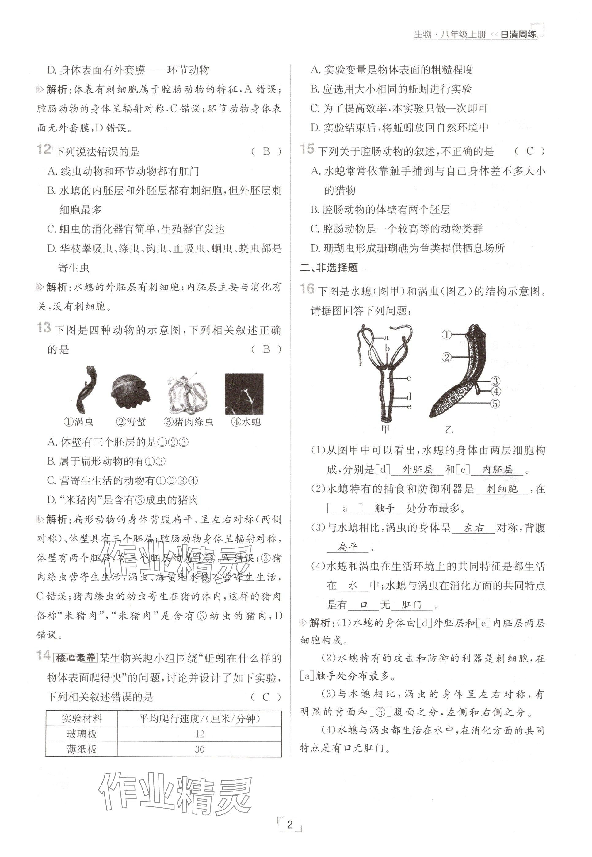 2024年日清周練八年級生物上冊人教版 參考答案第2頁