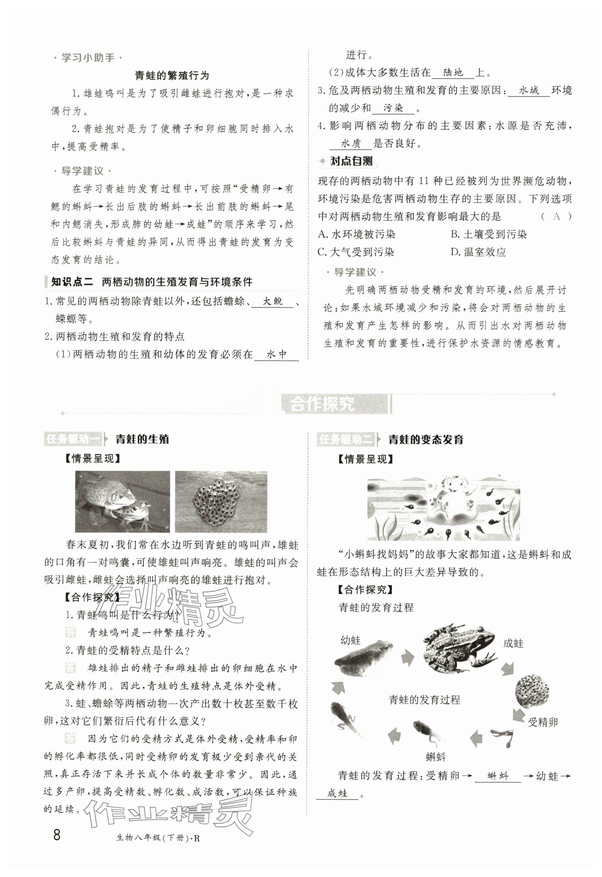 2025年金太陽導學案八年級生物下冊人教版 參考答案第8頁