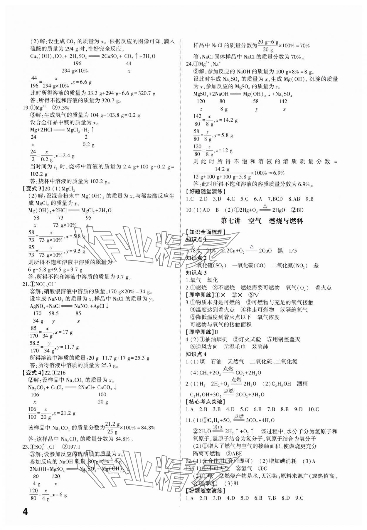 2025年学考传奇化学中考济南专版 参考答案第3页