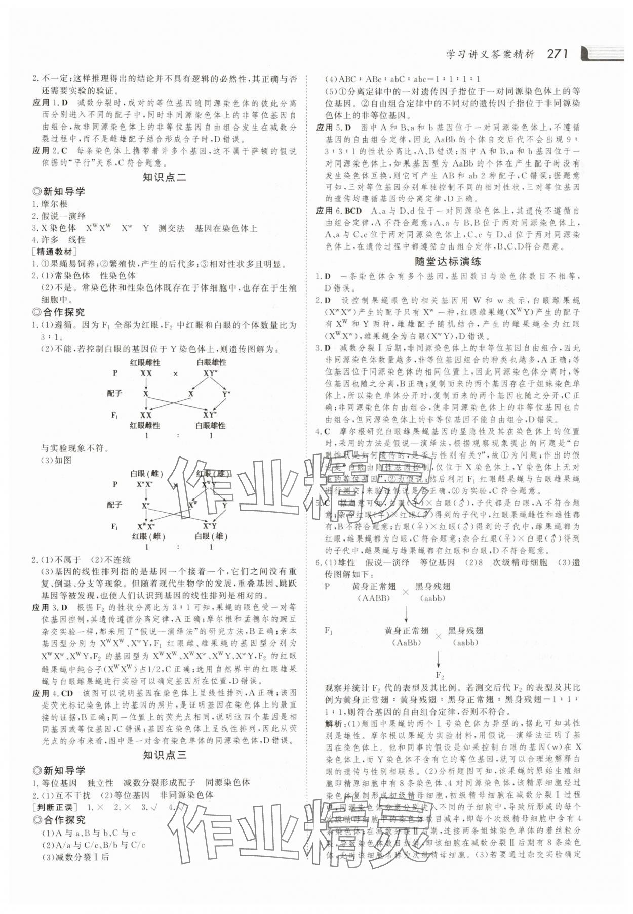 2025年金版新學案高中生物必修2人教版 參考答案第10頁