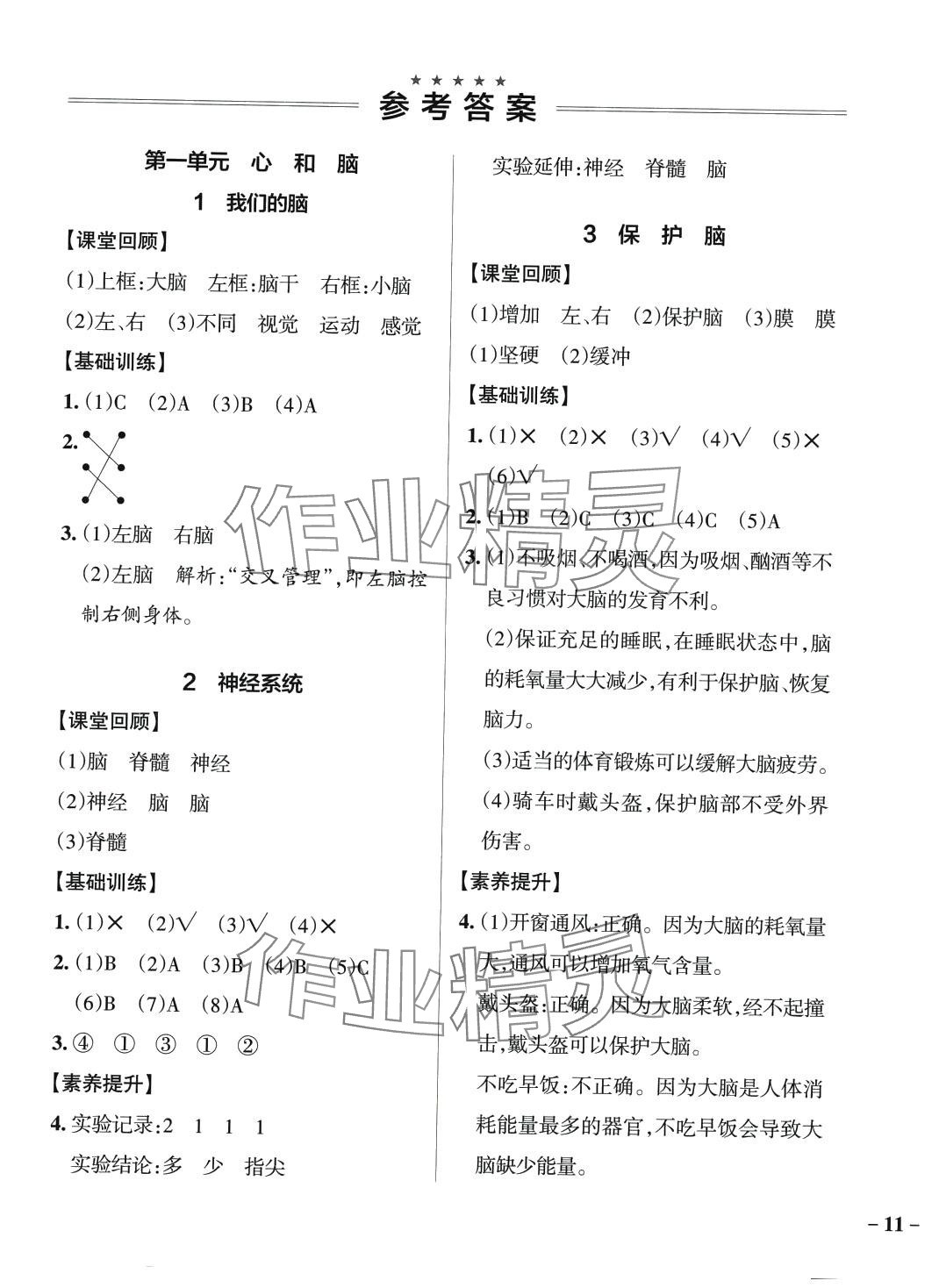 2024年小学学霸作业本五年级科学下册青岛版山东专版 参考答案第1页